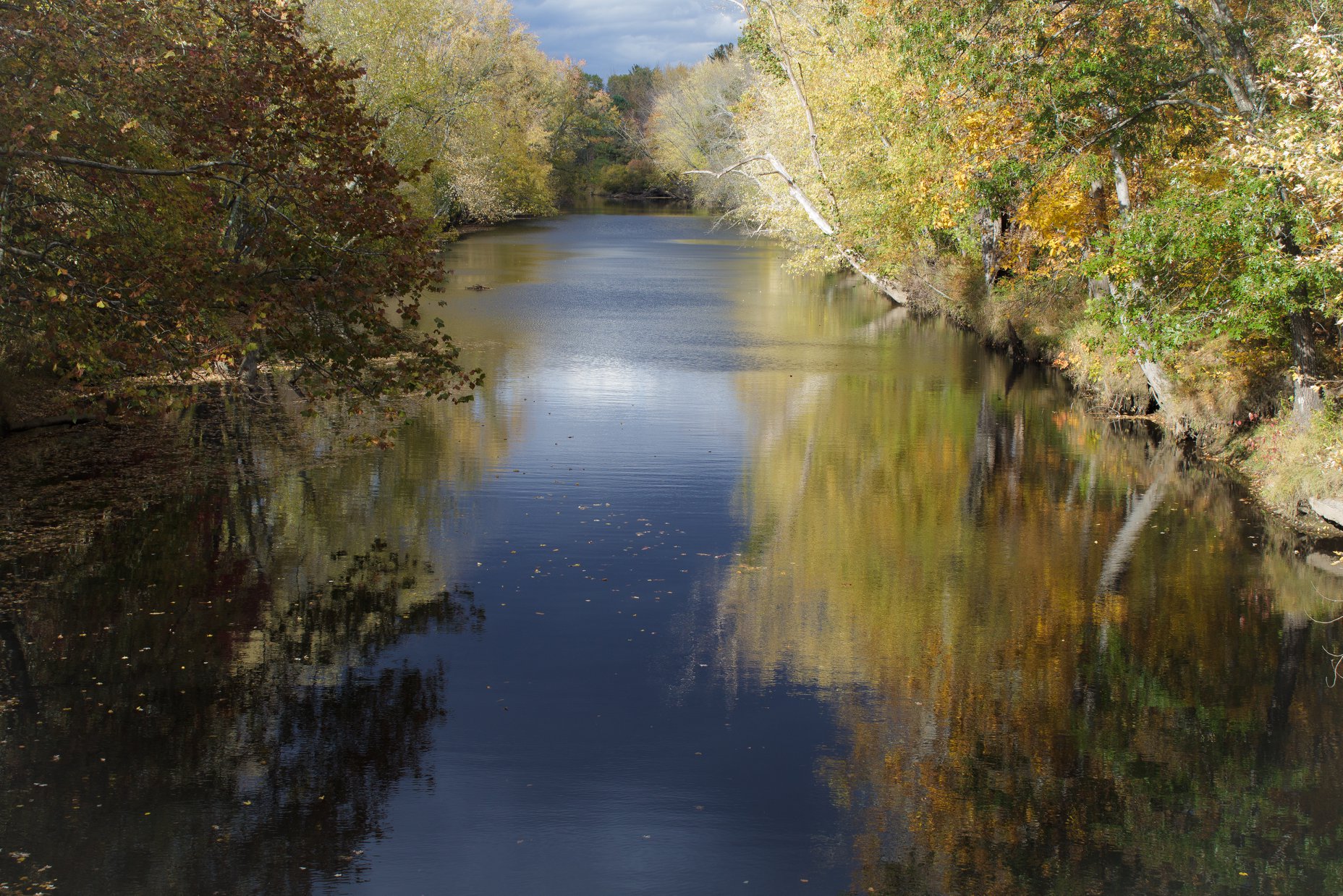 Nashua River downstream with trees leaning over the water.