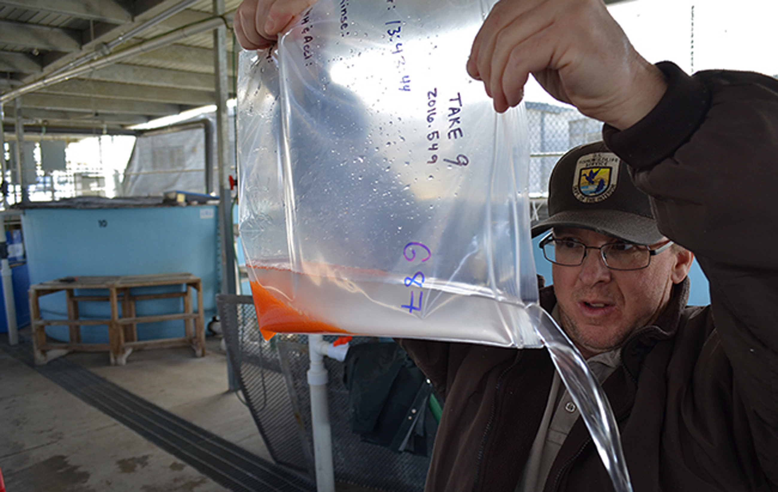 a man holding a clear bag with water and orange fish eggs