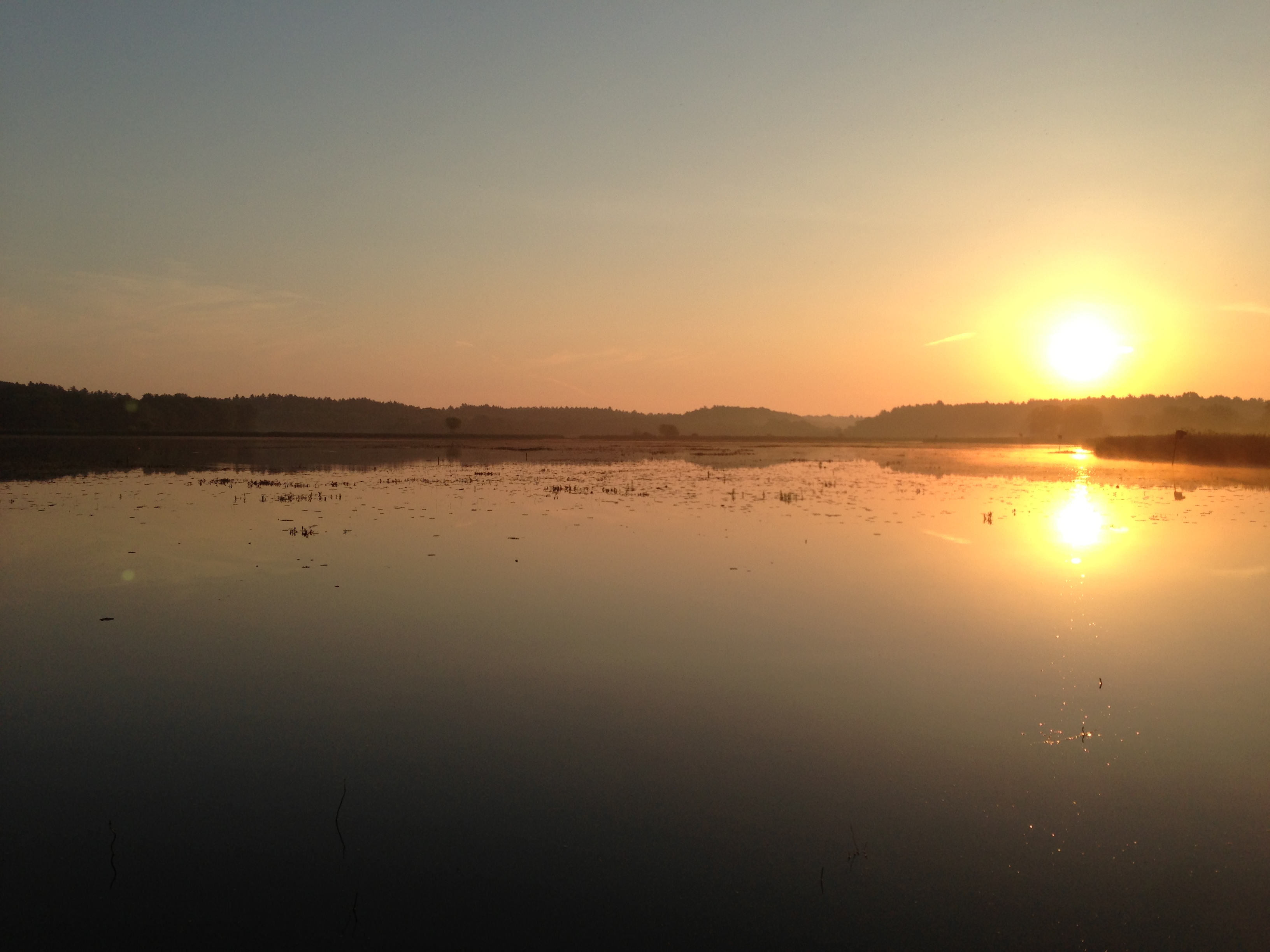 Sunrise at Great Meadows NWR 