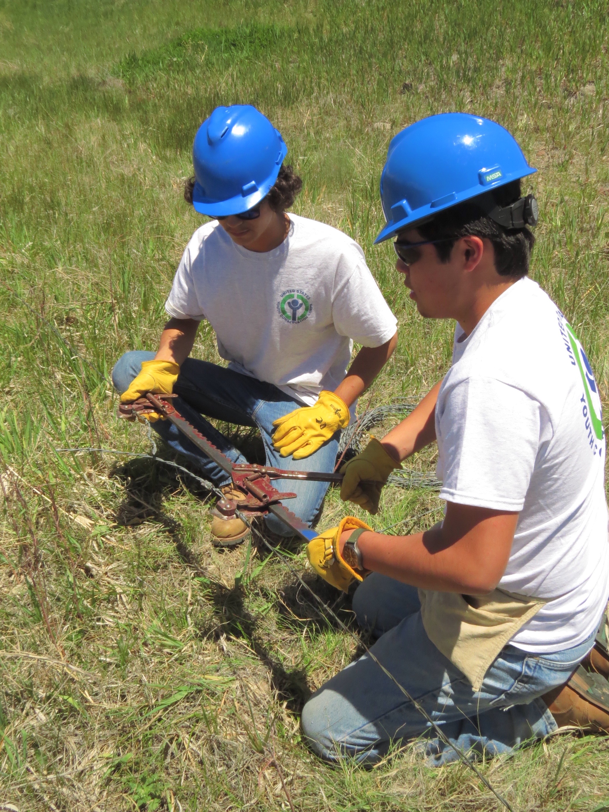YCC Crew members working on barbed wire fence