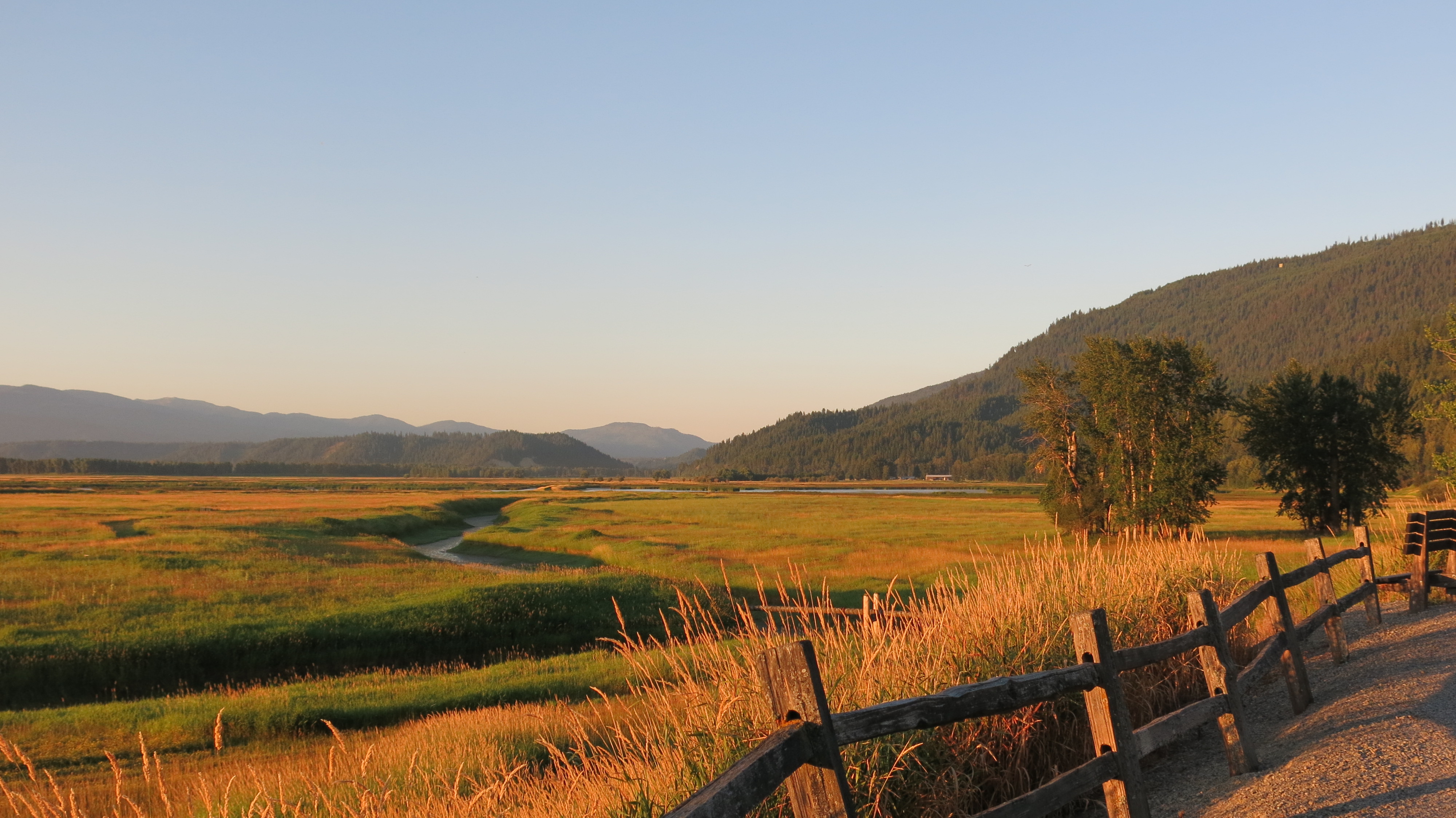 A slow drive or walk on Kootenai's auto tour route allows for many viewing opportunities.