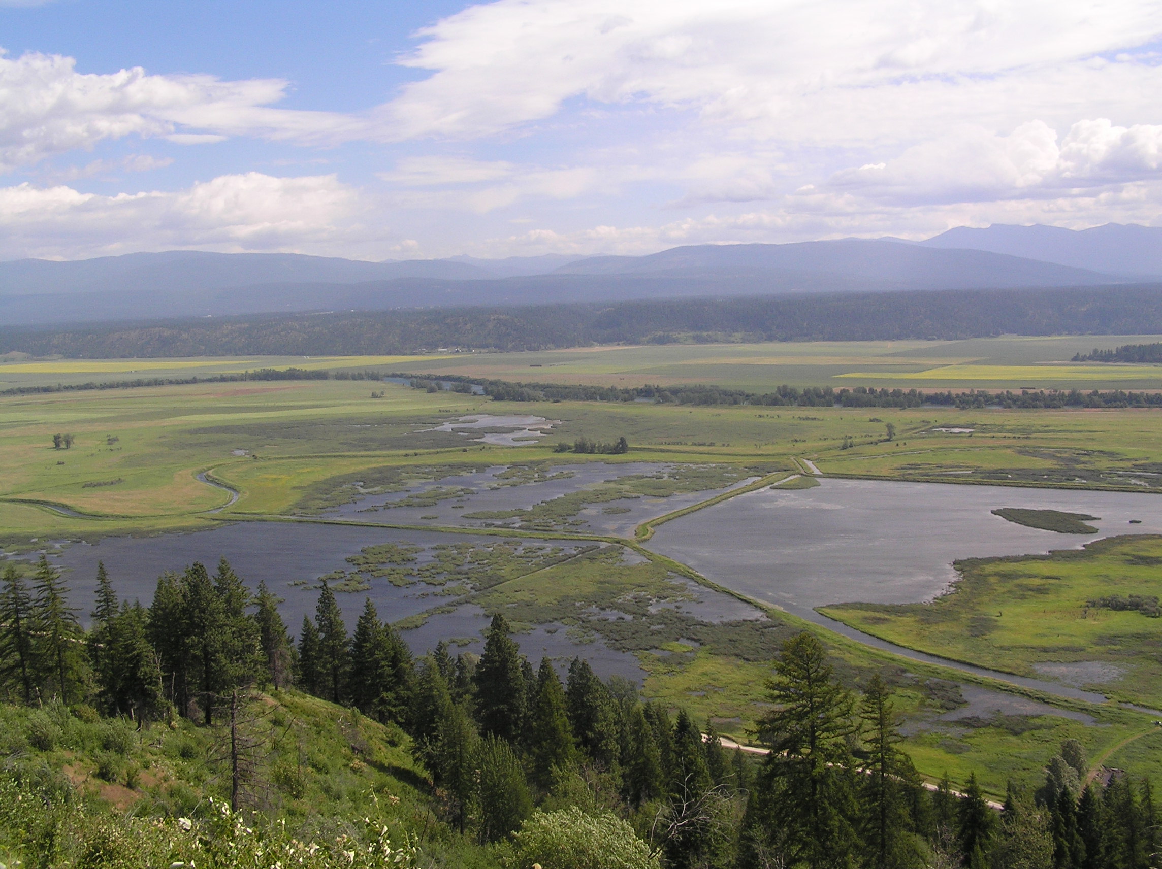 This oblique view of Kootenai shows the different wetland units managed for waterfowl.