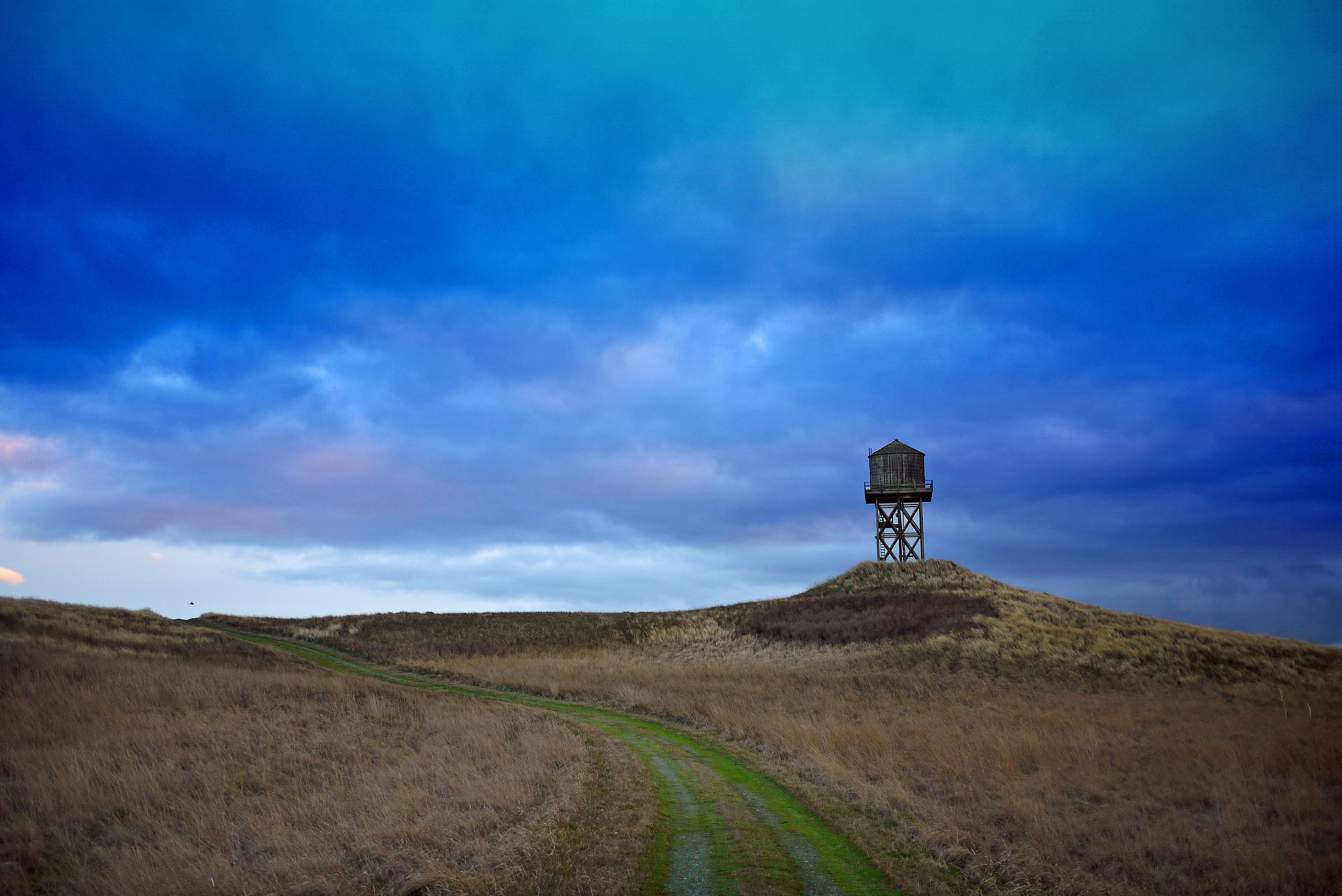 Protection Island Uplands with Historic Watertower