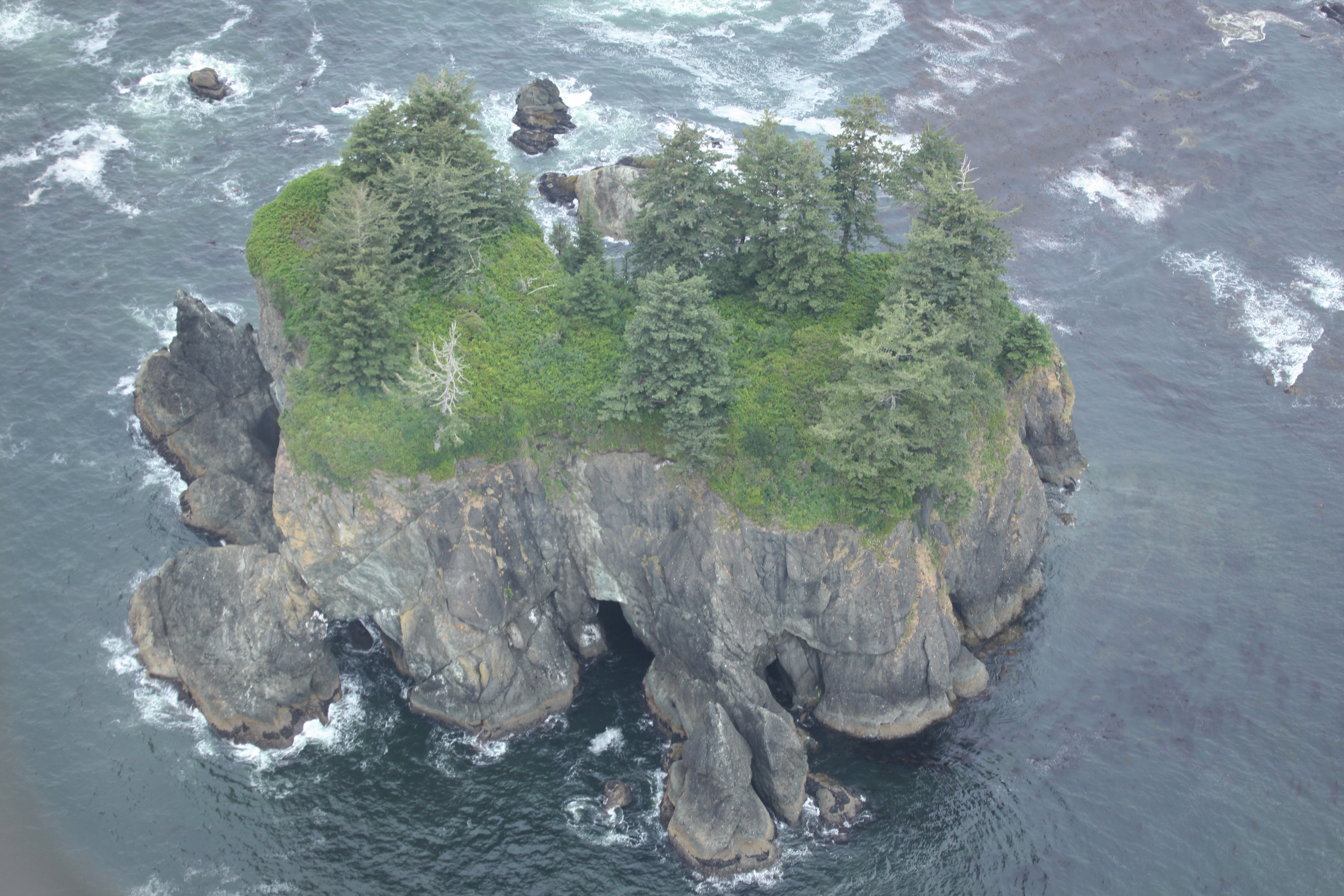 Rugged Coastal Island Crowned with a Small Forest