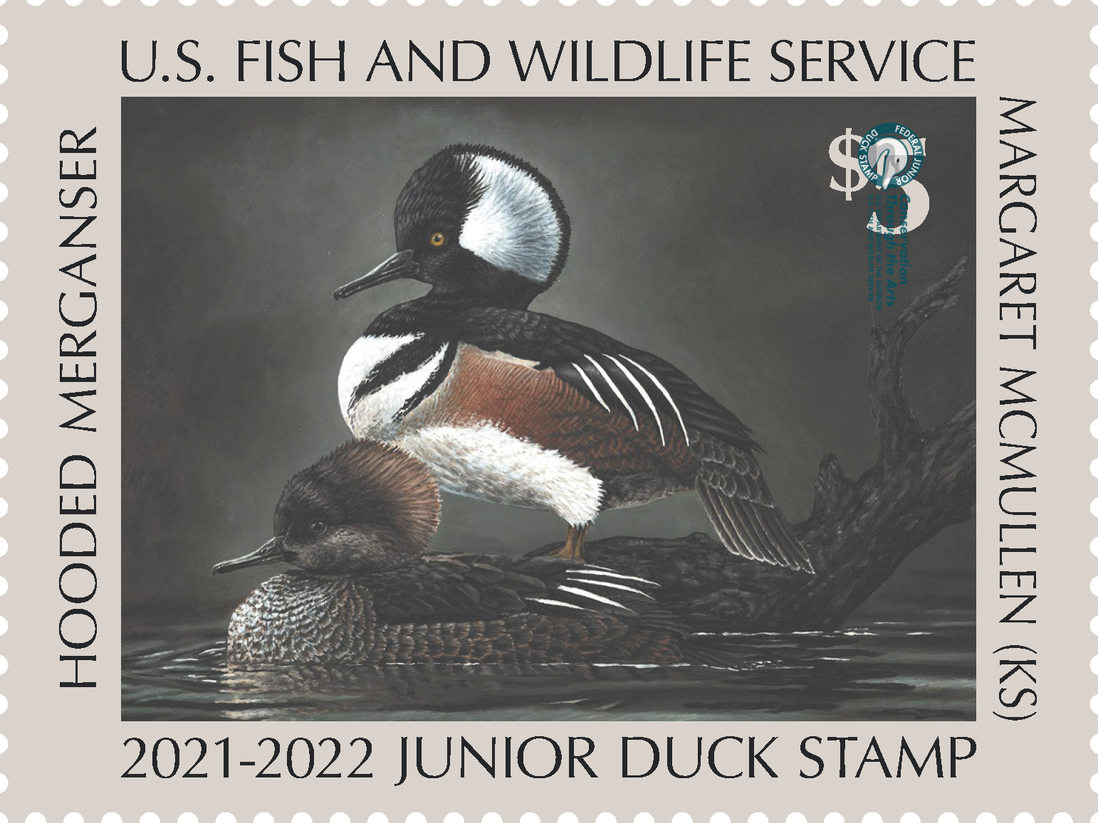 Junior Duck Stamp with two hooded merganser