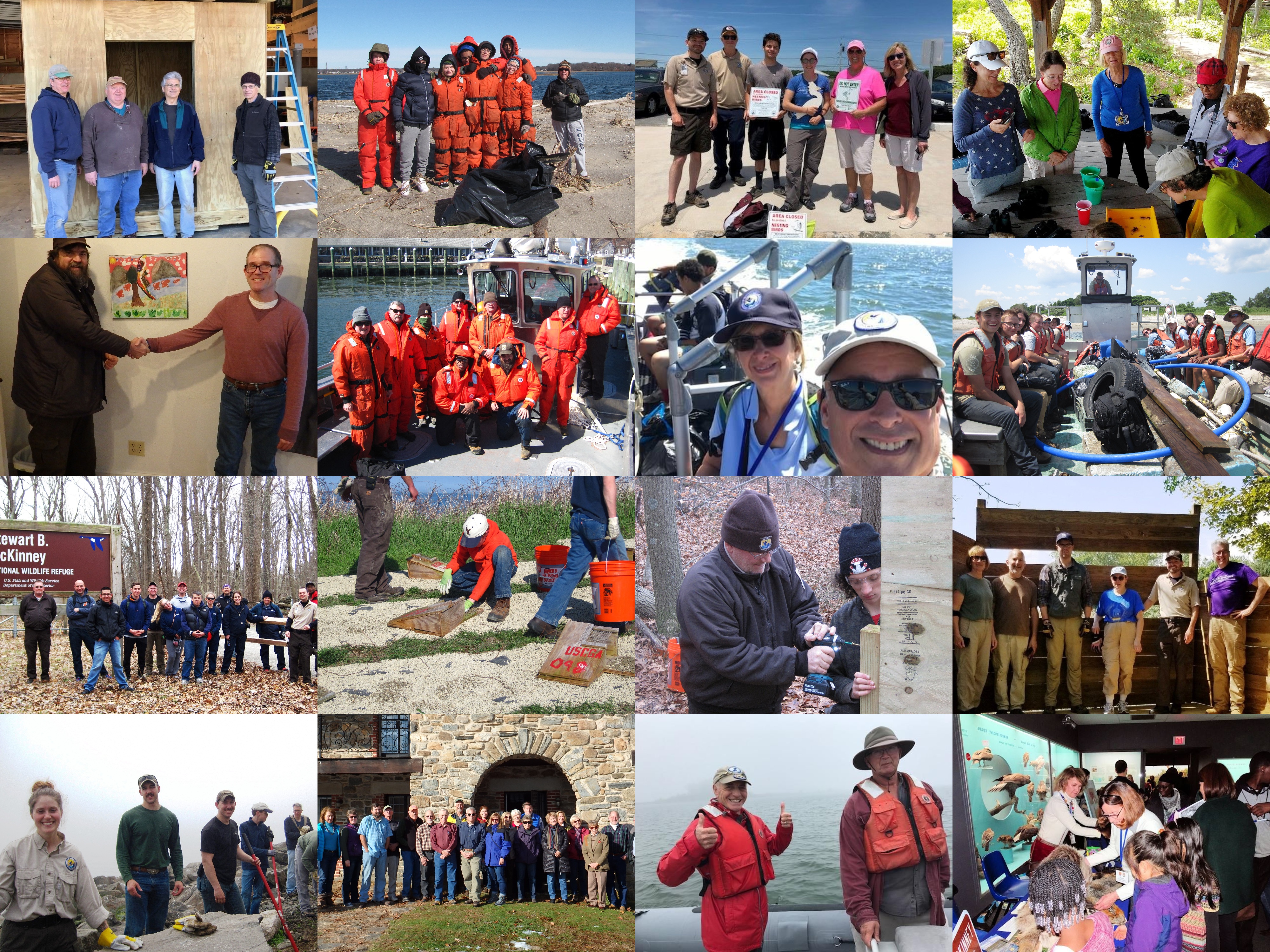 A collage of volunteers doing various projects on the Stewart B. McKinney NWR.