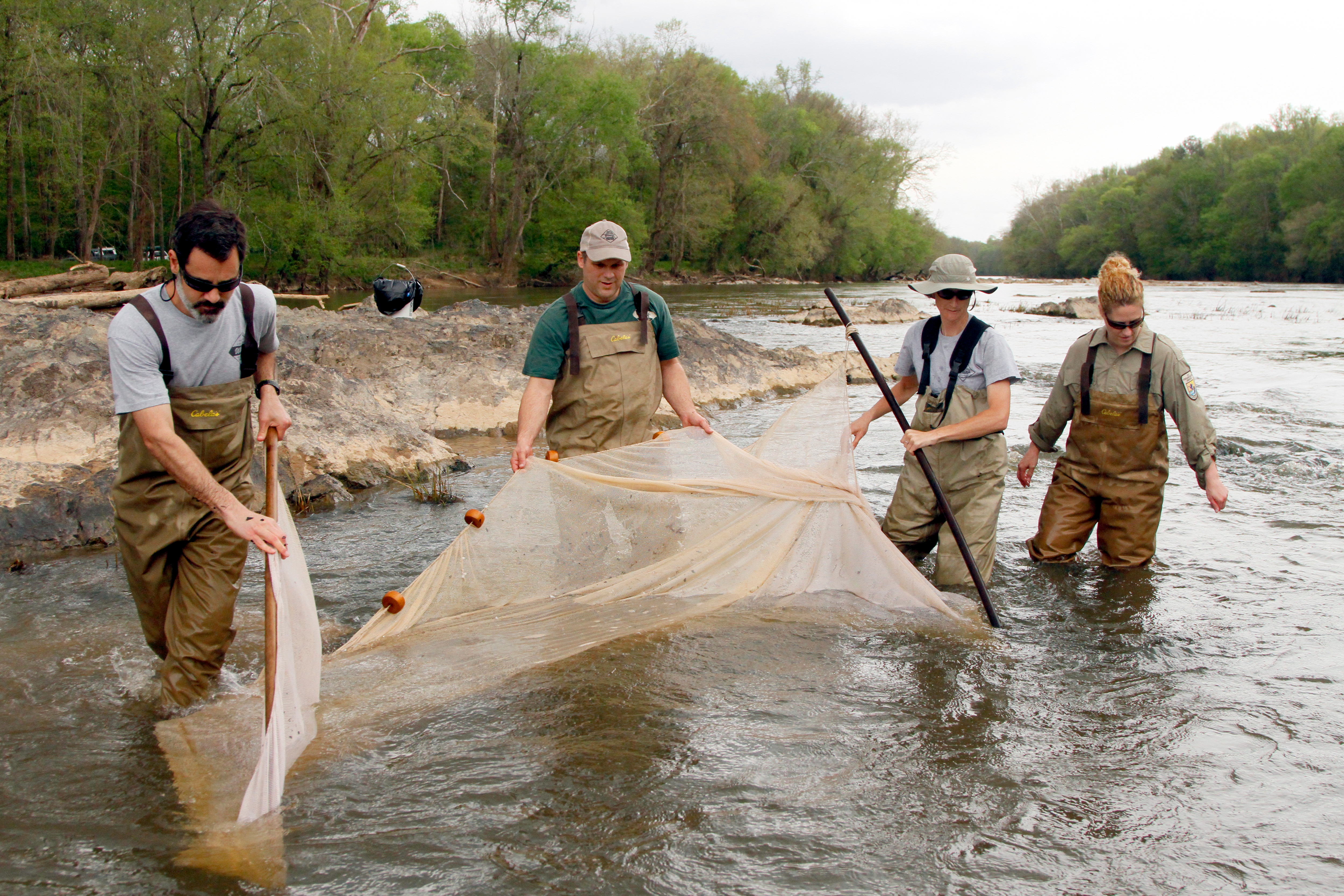 Two men and two women are standing in a shallow river with vegetation and rocks behind them. Three of them are holding a net that is partially submerged. and they are all moving towards the camera.