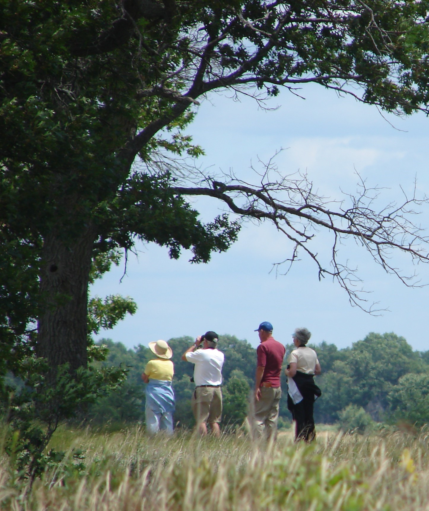 Visitors looking out at savanna and prairie at Necedah National Wildlife Refuge 