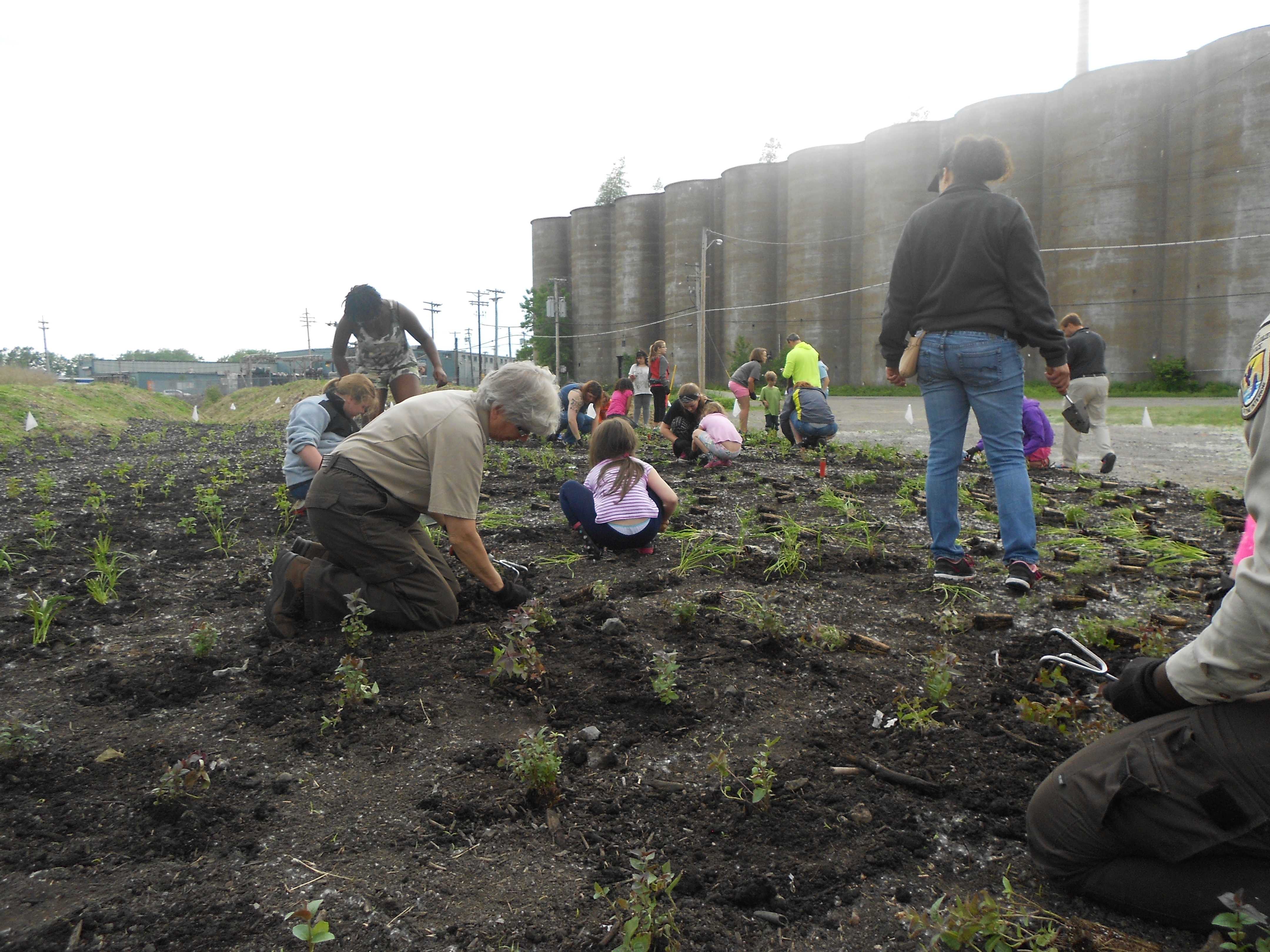 USFWS staff helping students plant a pollinator garden.