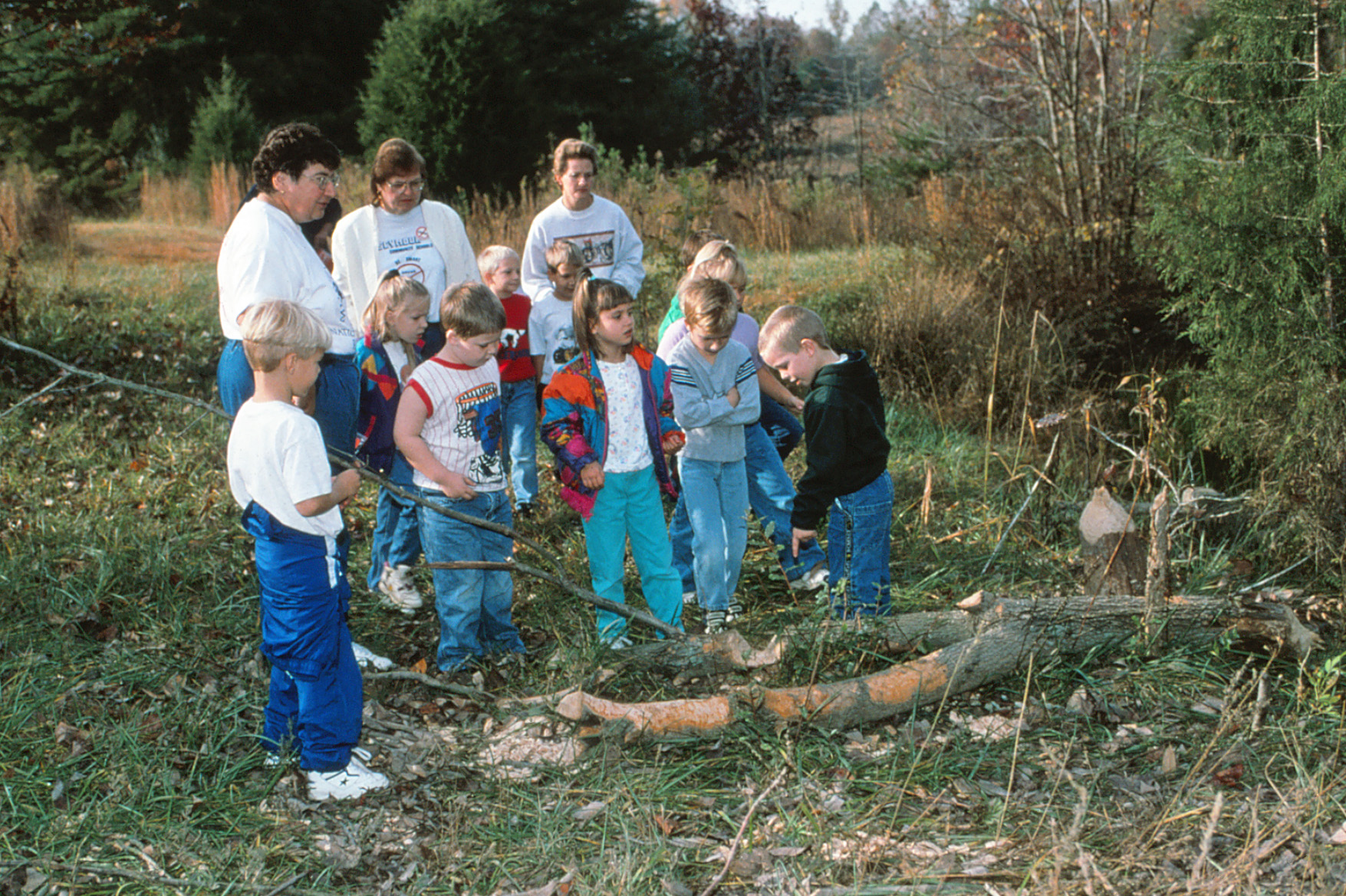Group of students and teachers looking at beaver-chewed log
