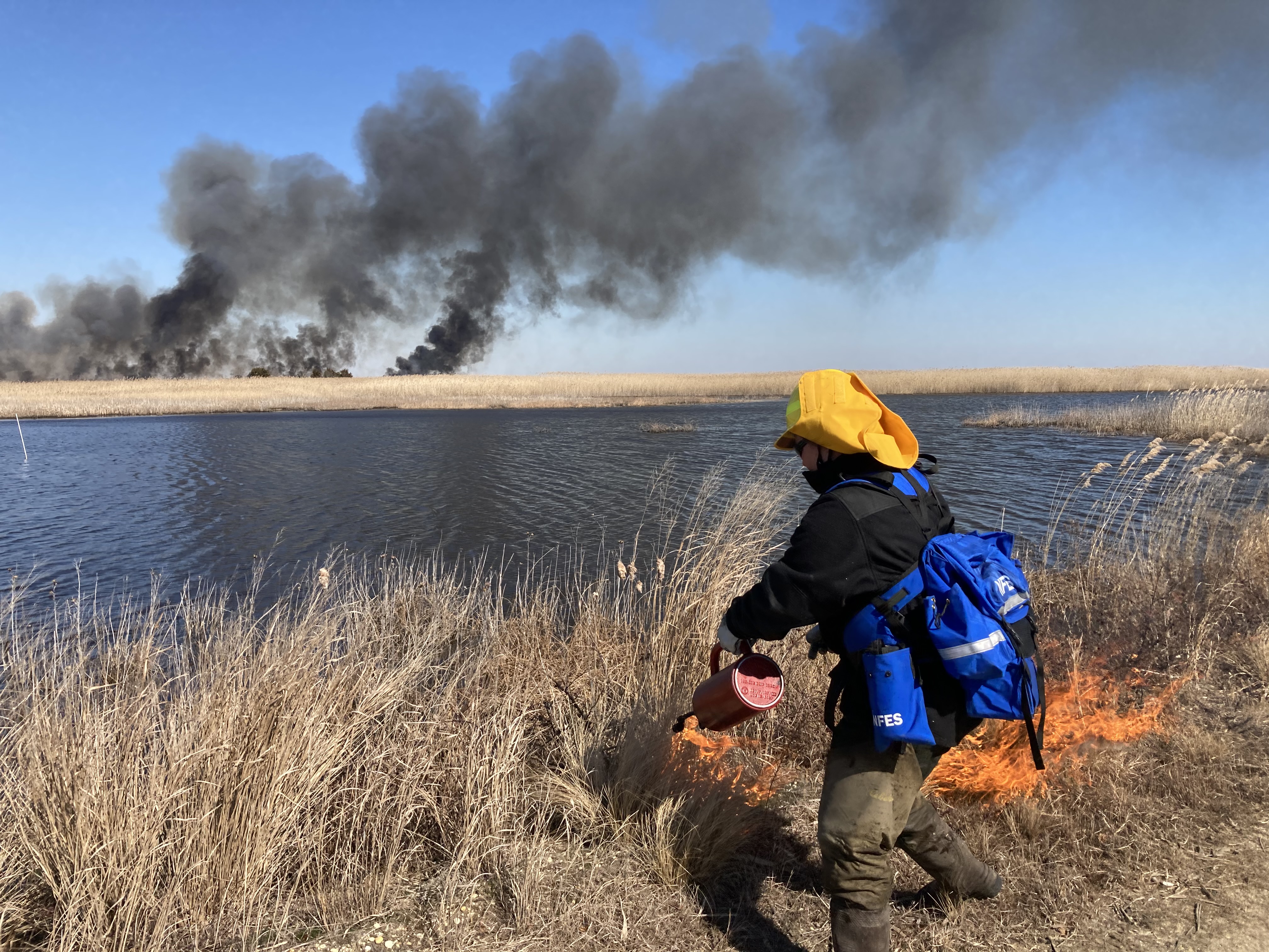 Fire crews set fire to vegetation along the West Pool as part of a prescribed burn at Edwin B. Forsythe NWR
