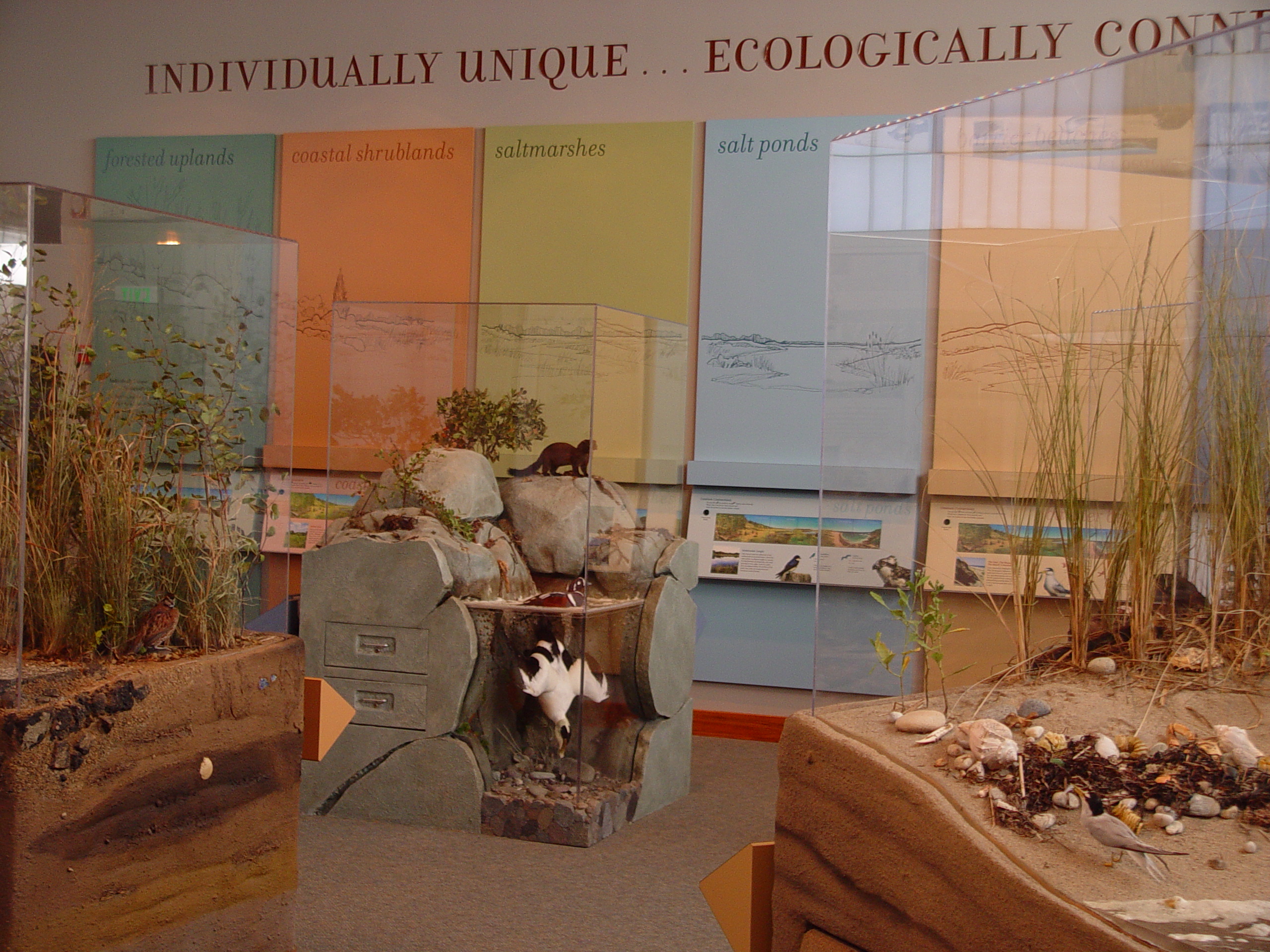 Kettle Pond Visitor Center exhibits