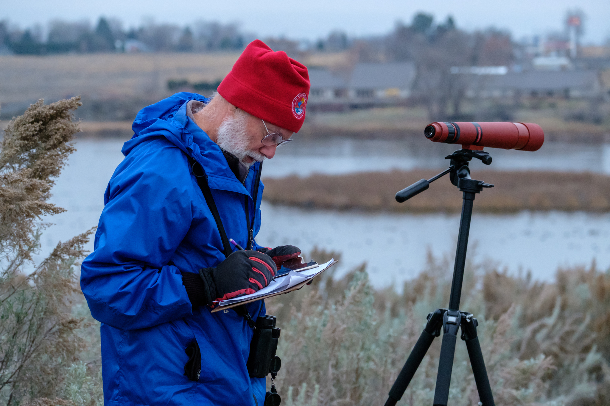 volunteer recording data from waterfowl monitoring