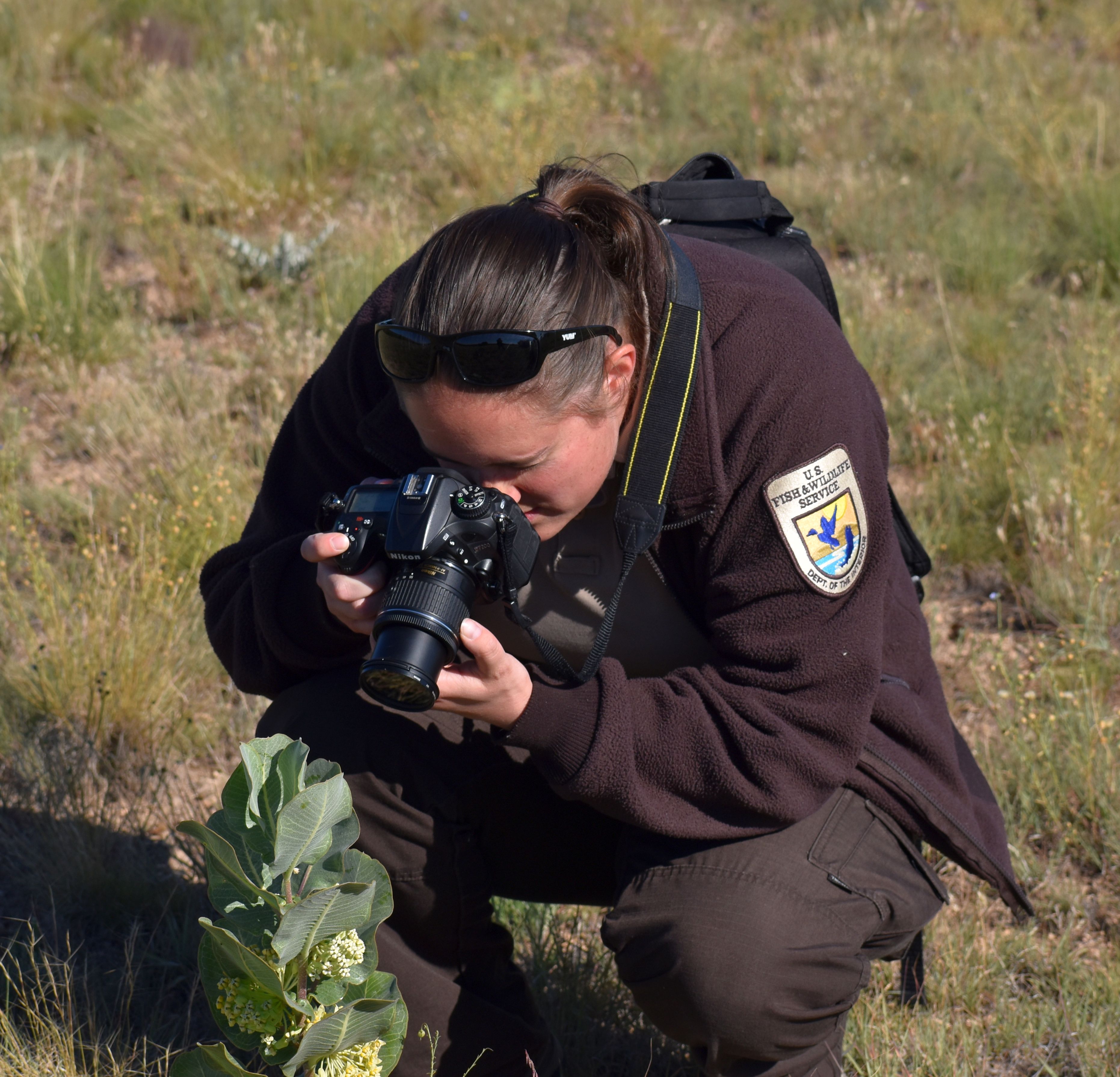 A woman wearing her U.S. Fish and Wildlife Service uniform stooping down to take a close-up photo of a plant