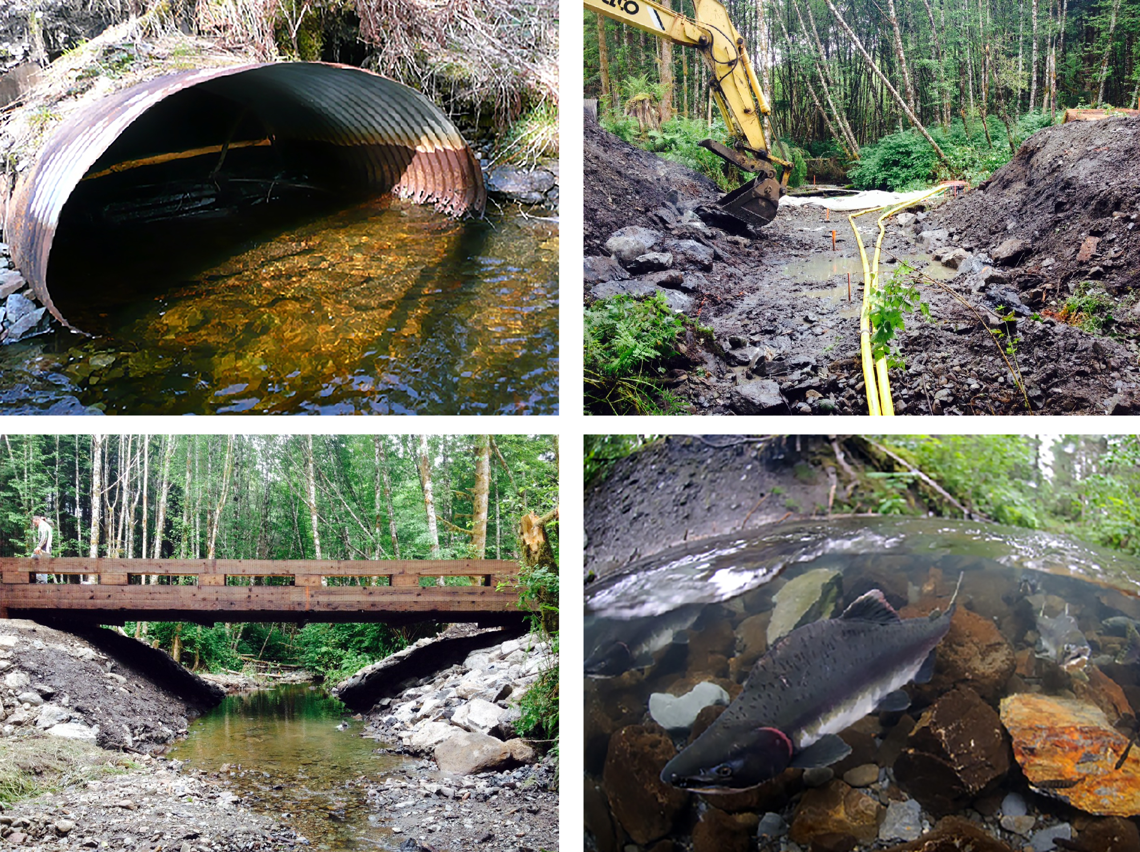 Collage of dam removal.