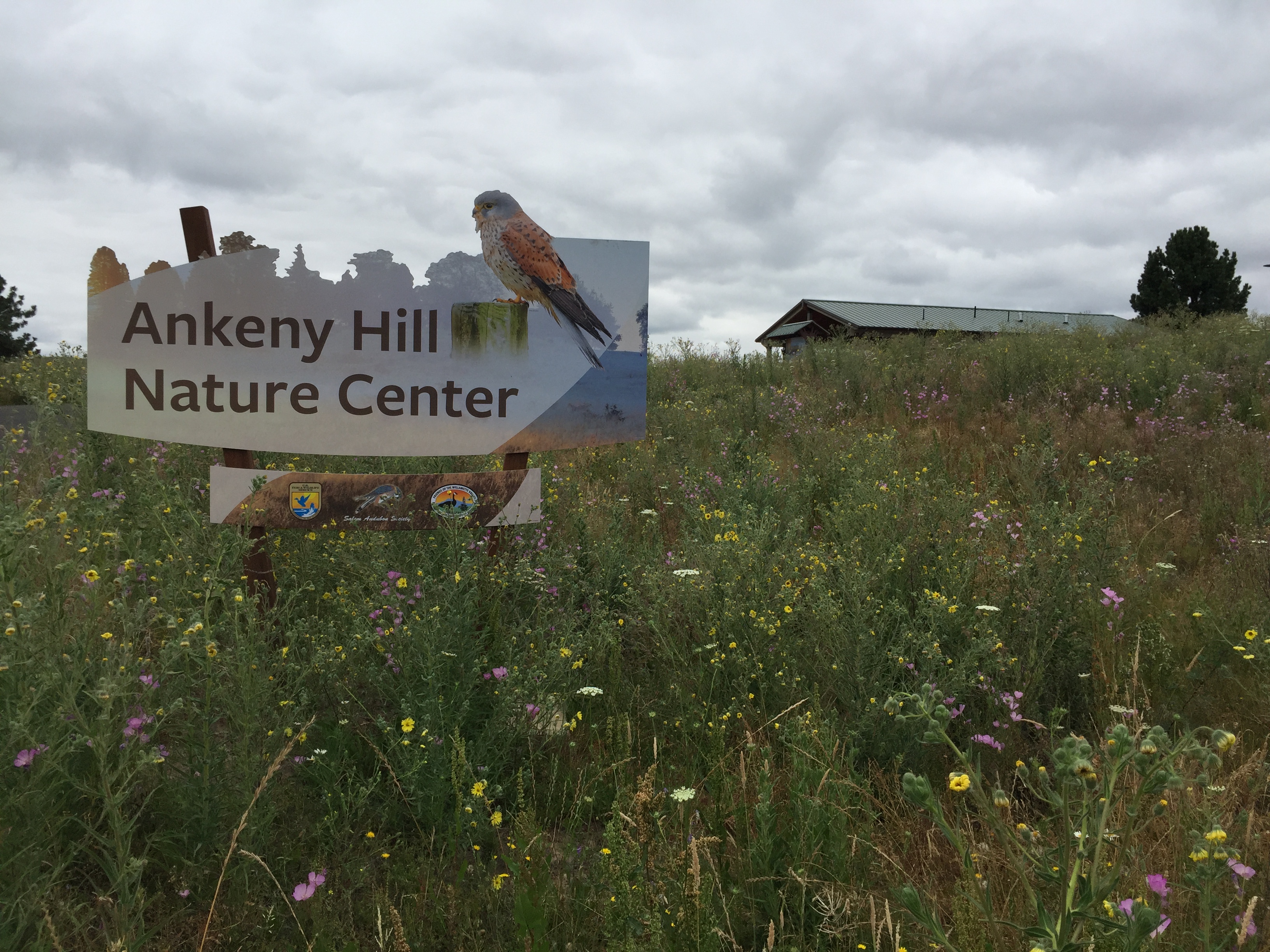 Welcome sign for the Ankeny Hill Nature Center