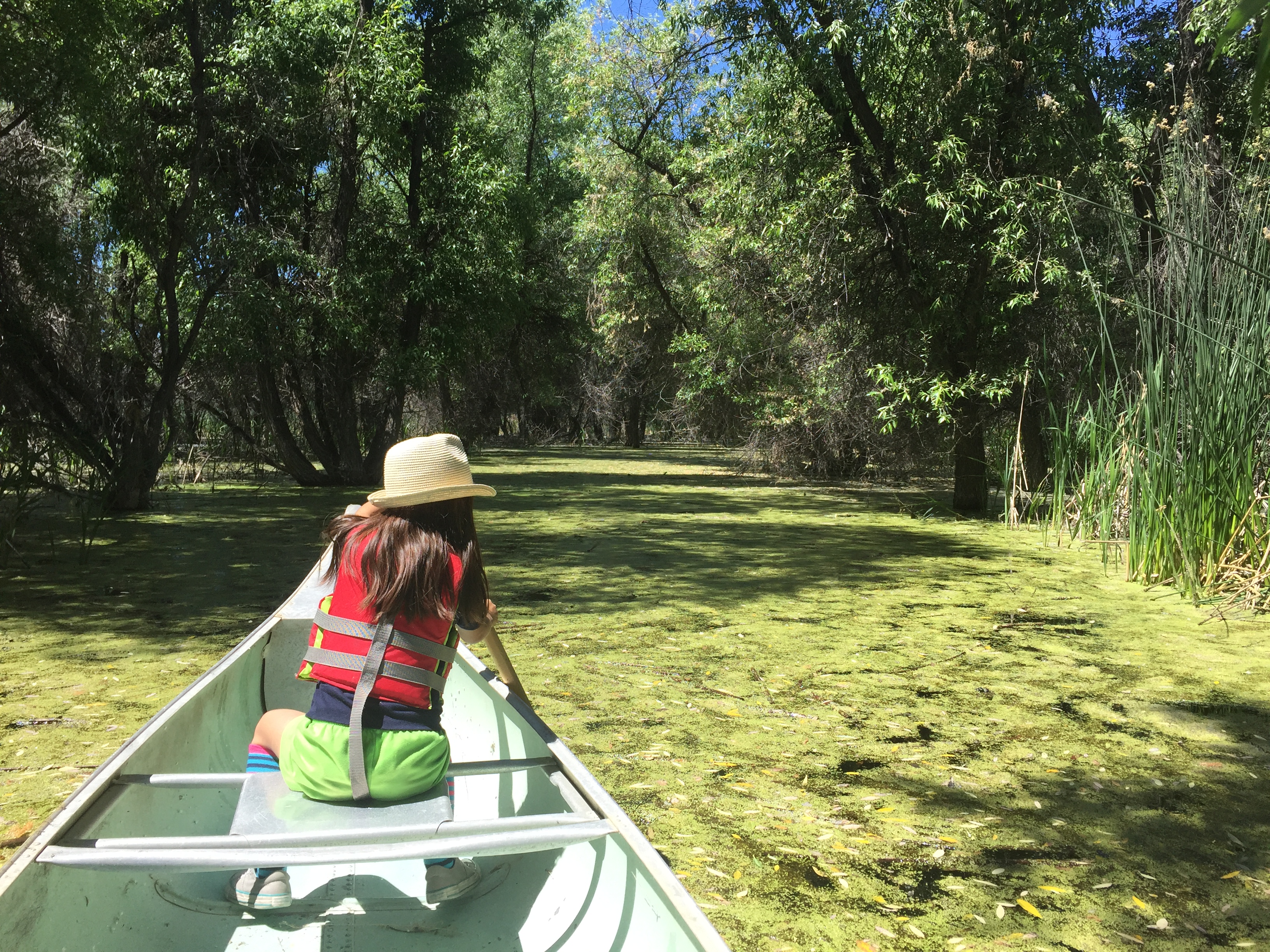 Child paddling the Tule Lake NWR Canoe Trail at Discovery Marsh