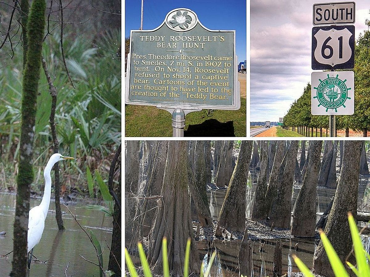 A four-image collage showing a historical marker, a Great River Road highway sign, bald cypress swamp and an egret in a wetland