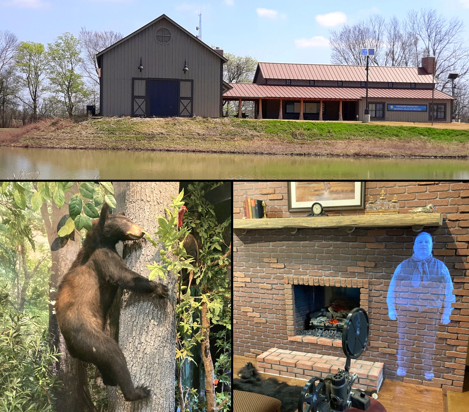 A three-image collage showing the outside of a visitor center next to a body of water, a display of a bear hugging a tree and a hologram projection of Theodore Roosevelt