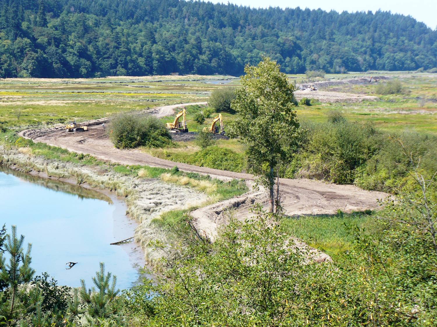 Heavy equipment removing the Brown Farm Dike at Billy Frank Jr. Nisqually National Wildlife Refuge