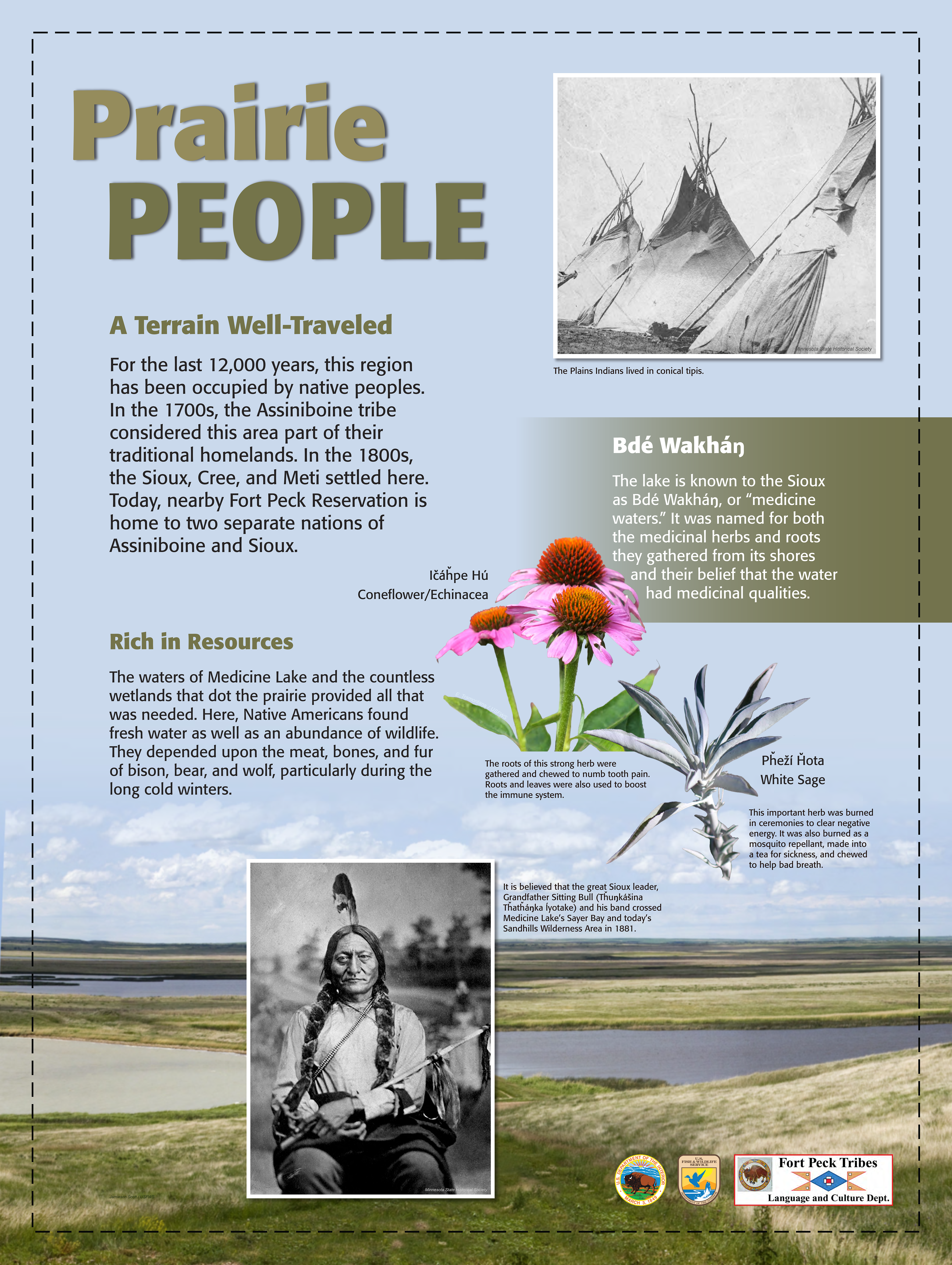 Prairie People: A Terrain Well-Traveled. For the last 12,000 years, this region  has been occupied by native peoples. In the 1700s, the Assiniboine tribe  considered this area part of their traditional homelands. In the 1800s,  the Sioux, Cree, and Meti settled here. Today, nearby Fort Peck Reservation is  home to two separate nations of Assiniboine and Sioux. The waters of Medicine Lake and the countless wetlands that dot the prairie provided all that was needed.