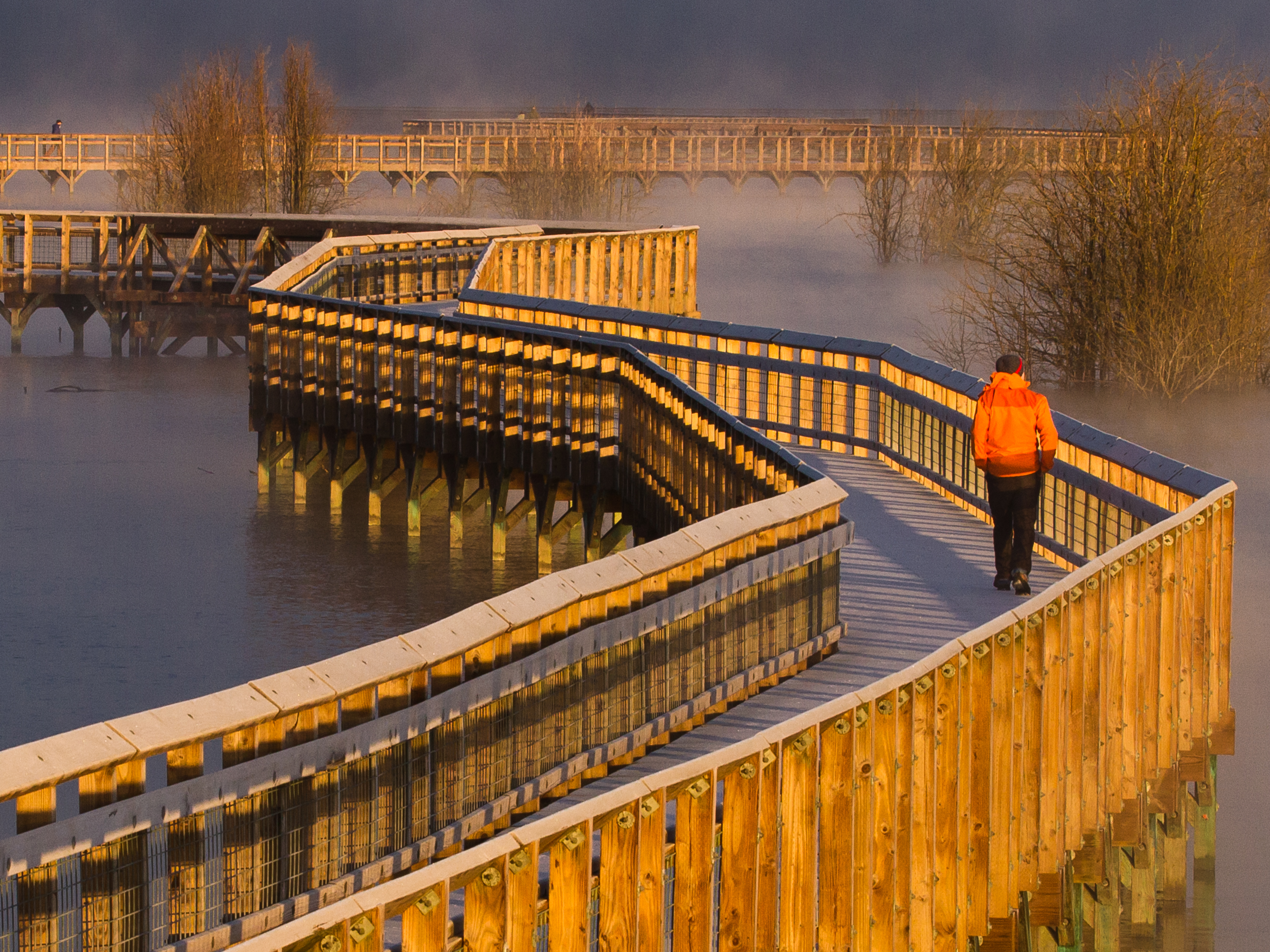 Visitor walking on the Nisqually Estuary Boardwalk over the Nisqually estuary at sunrise