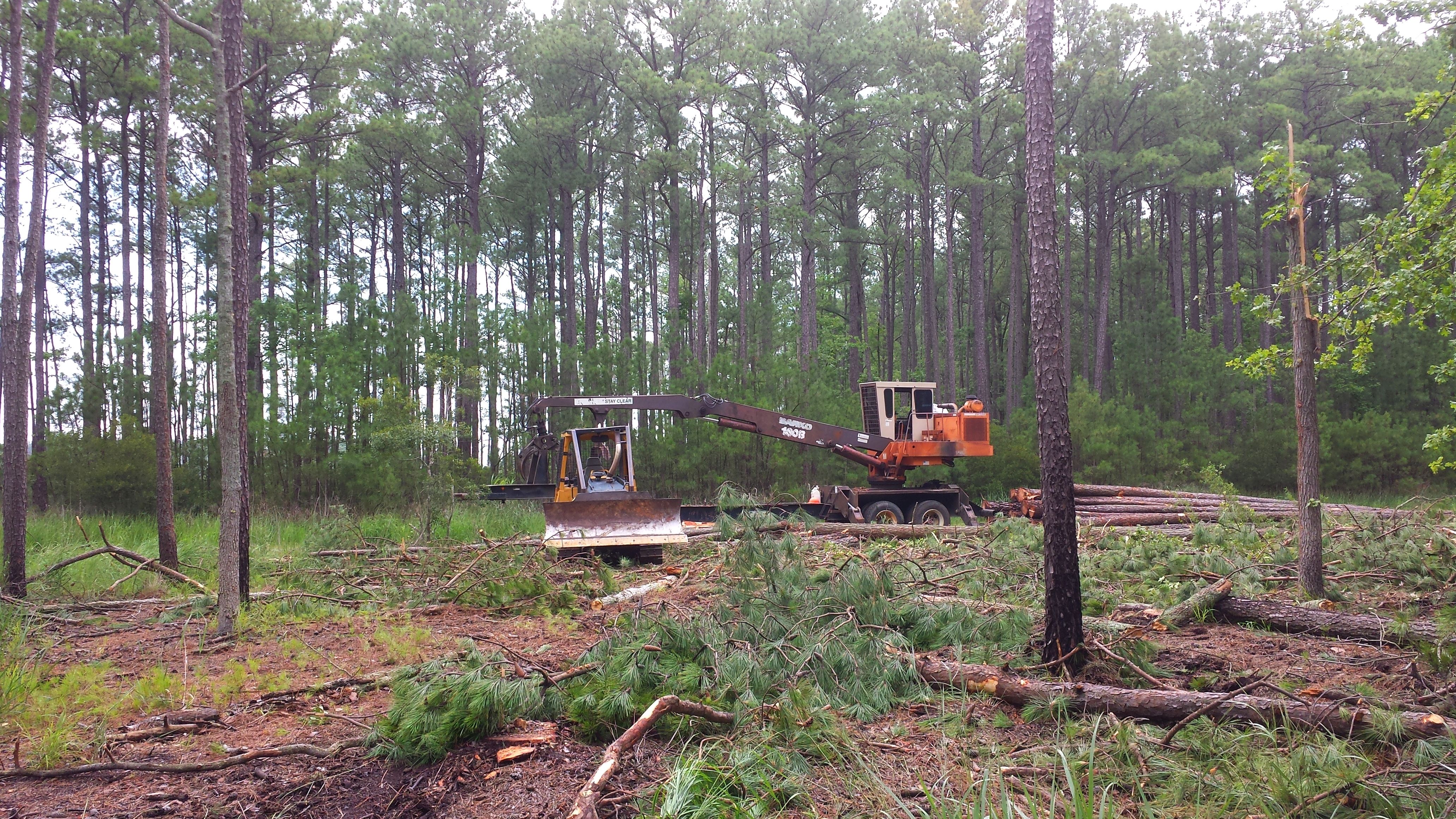 Heavy equipment helps to remove downed trees.