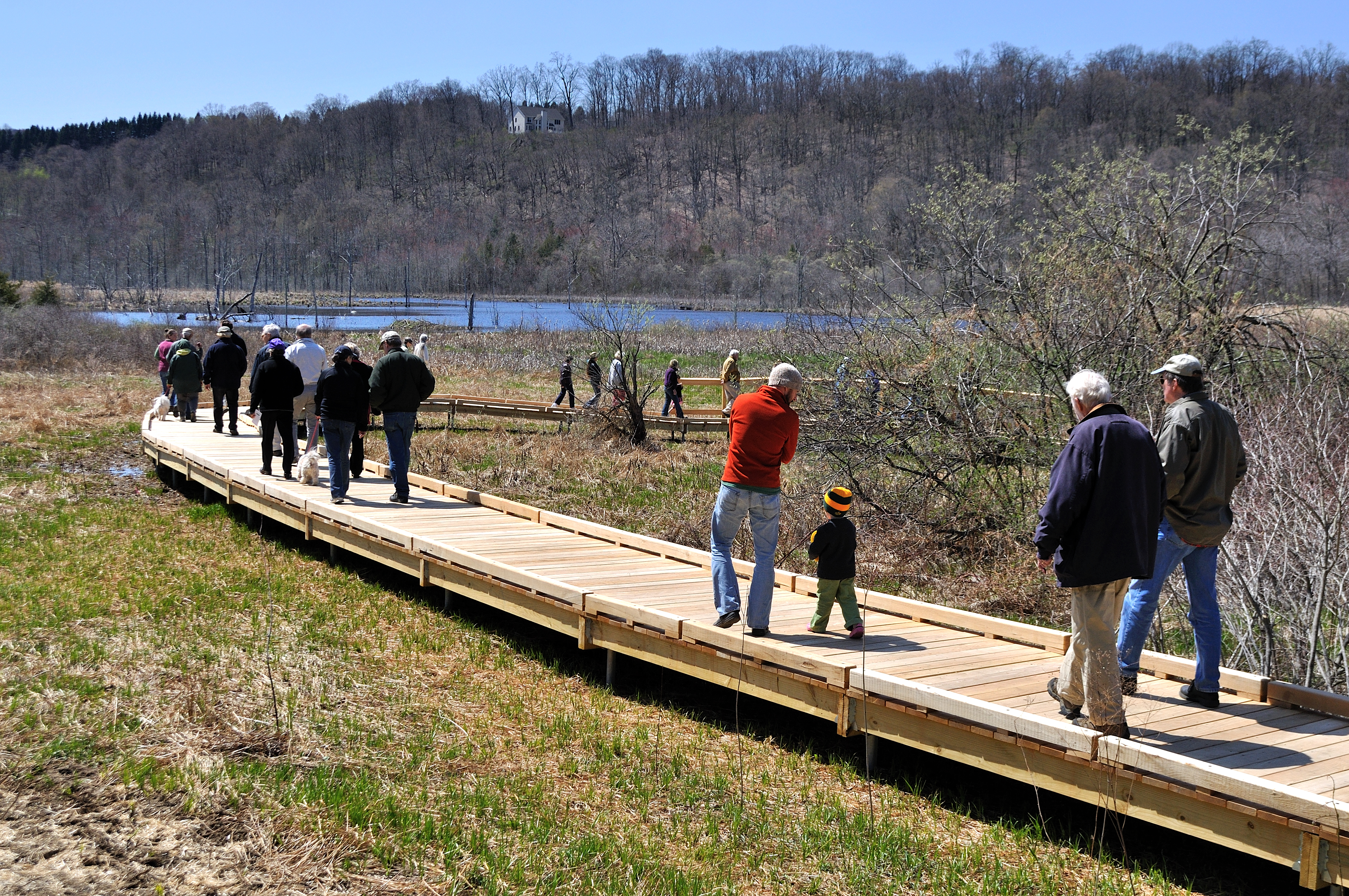 People walk on a new accessible boardwalk over a marsh