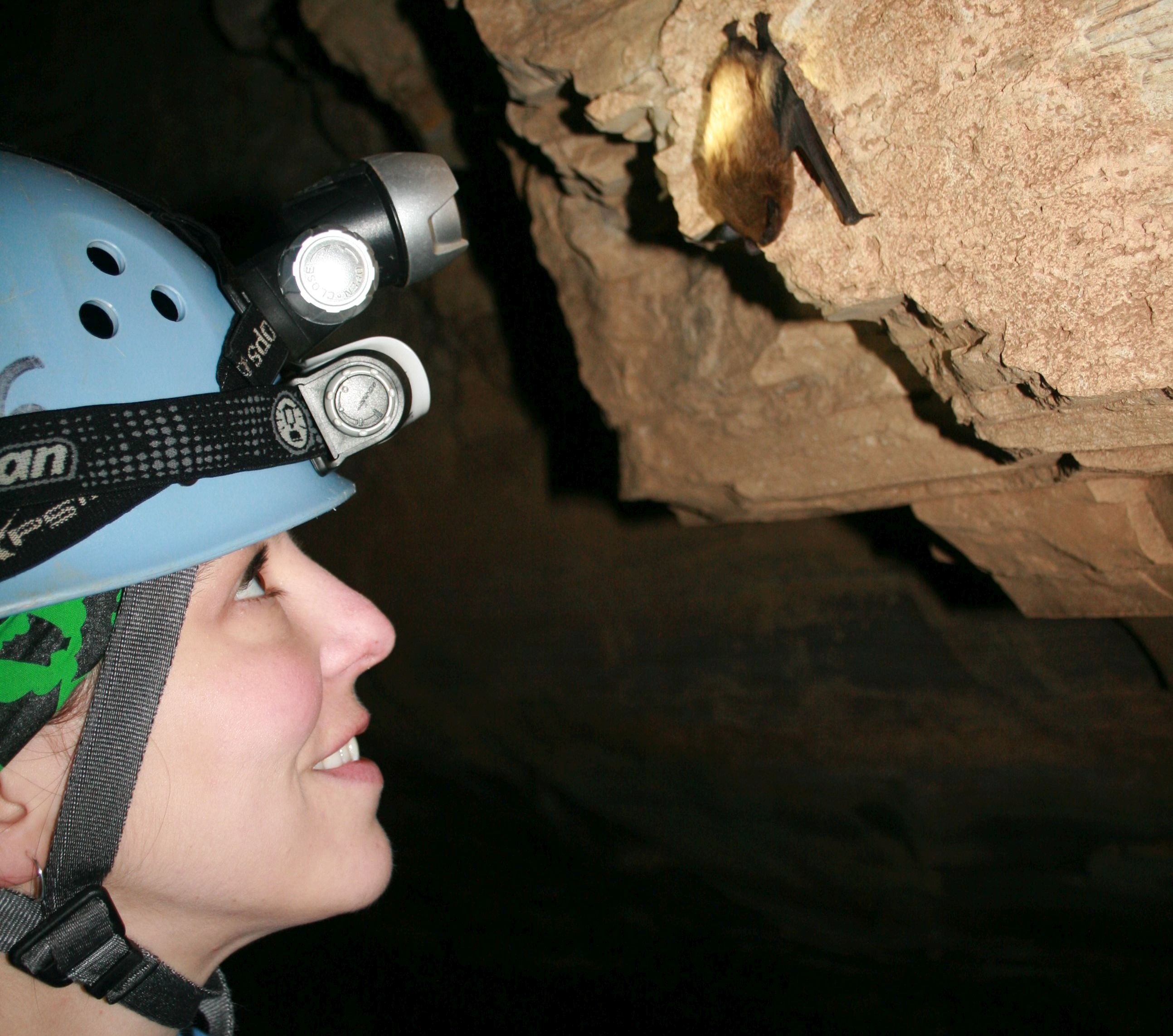 A woman wearing a protective miner's helmet with a light on it looking up at a bat hanging from a rock in a cave 