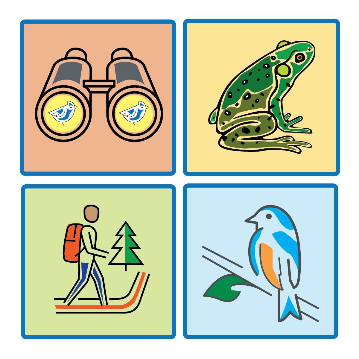 Grid of four colorful icons, featuring a pair of binoculars, a frog, a person hiking, and a blue colored bird. 