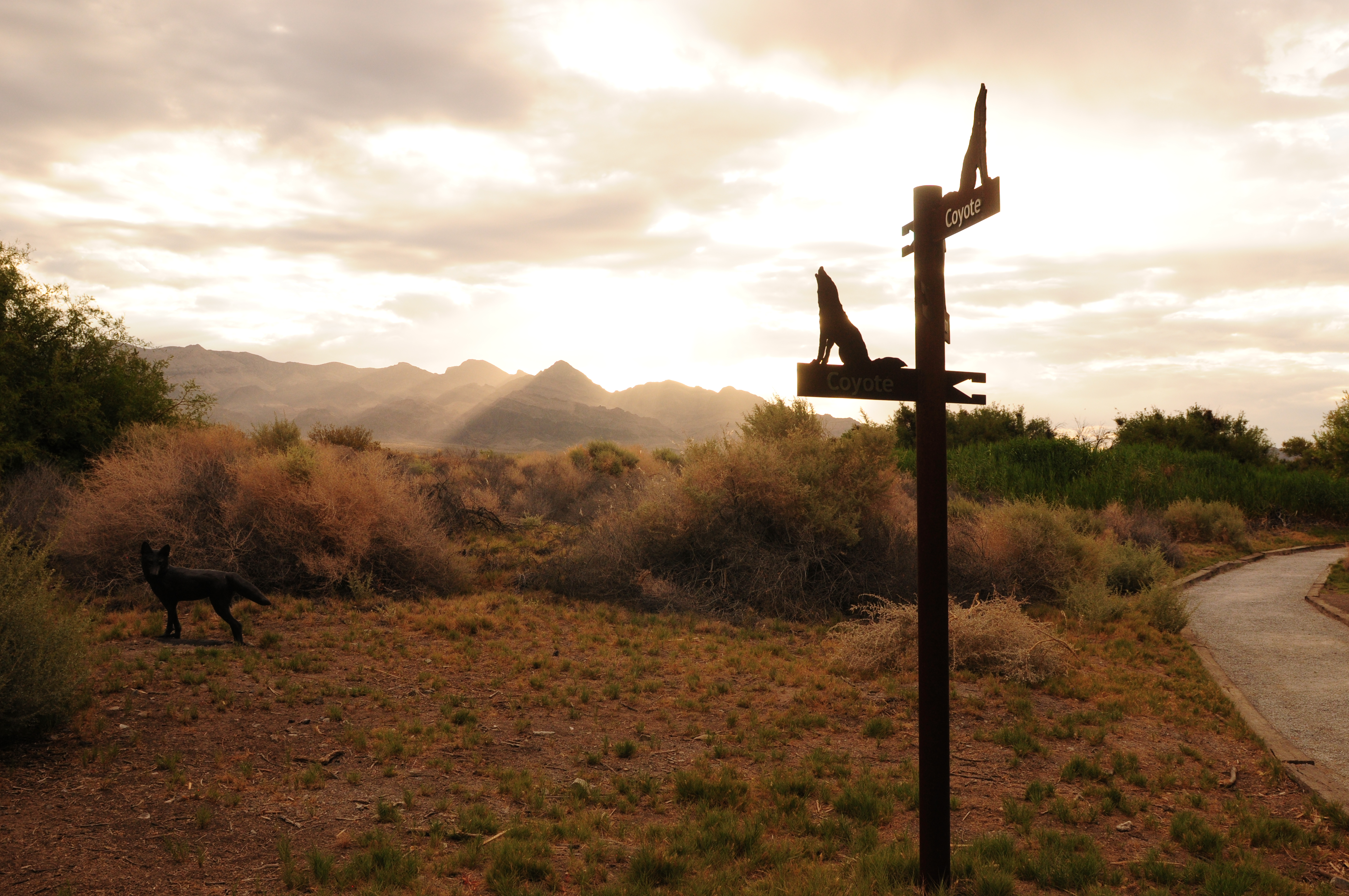 Trail signpost and metal coyote statue in foreground; mountains and a cloudburst in the distance