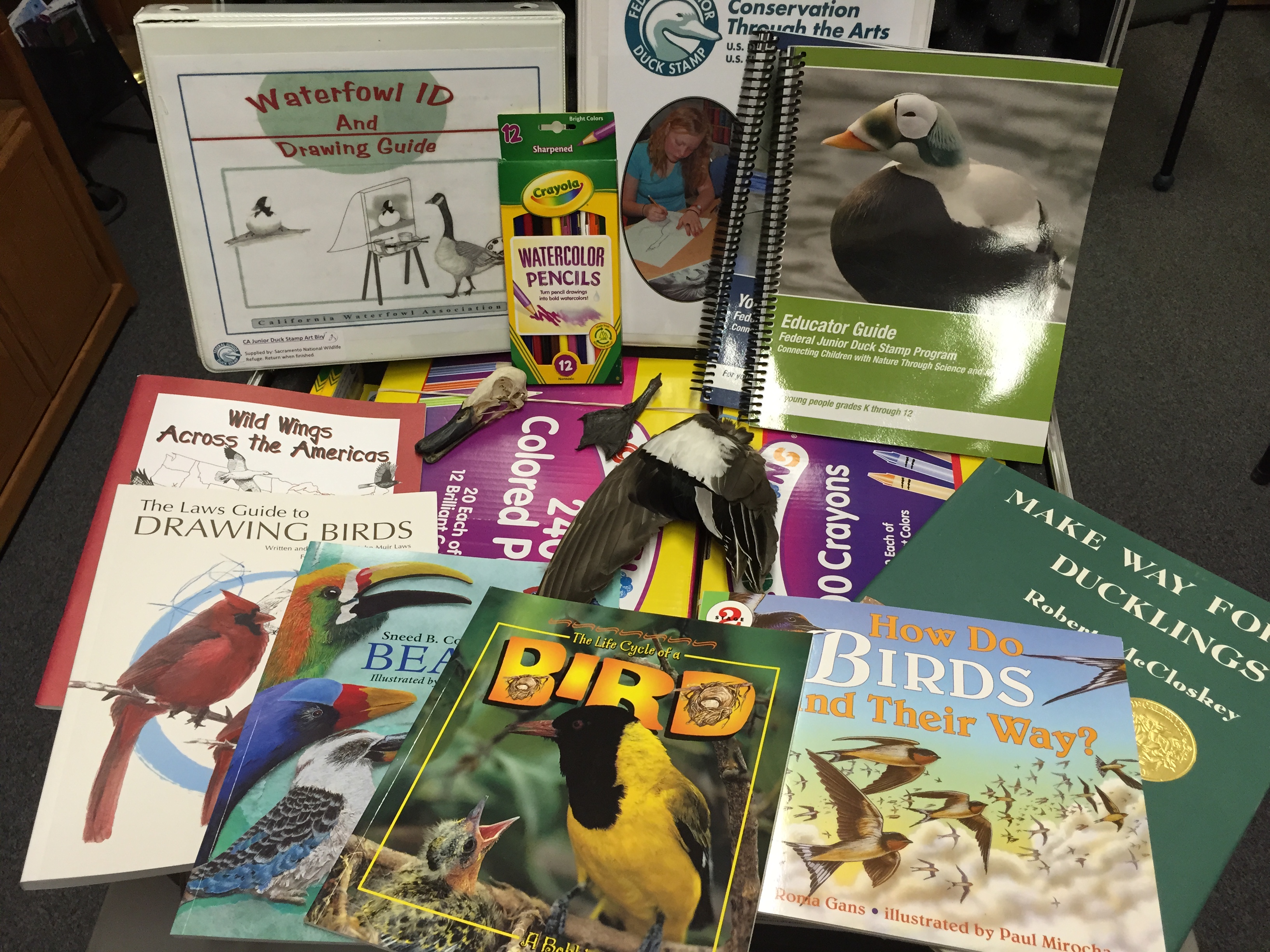 Various books, curriculum, art supplies, and other educational materials used in learning about waterfowl
