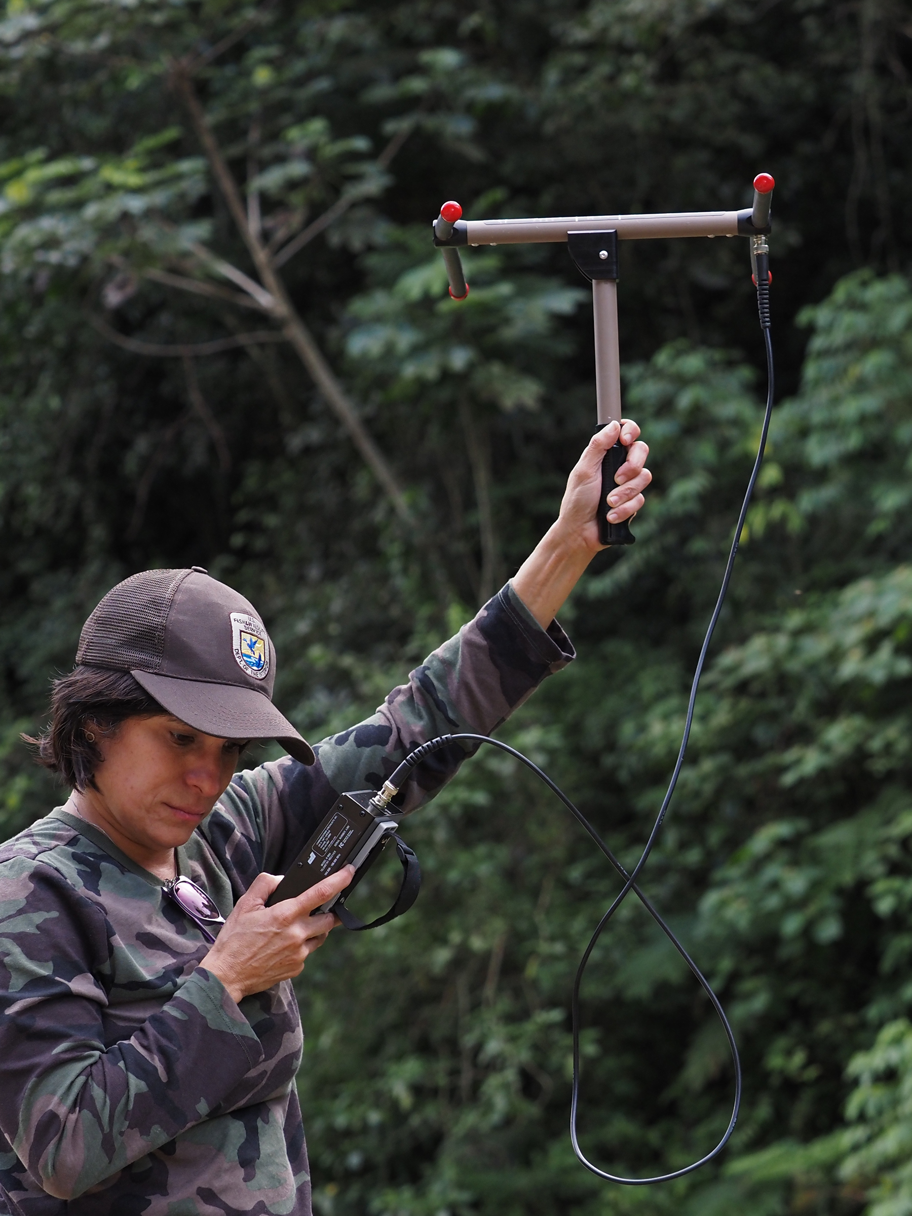 Woman in fish and wild life service uniform standing in a forest holding telemetry equipment to 
