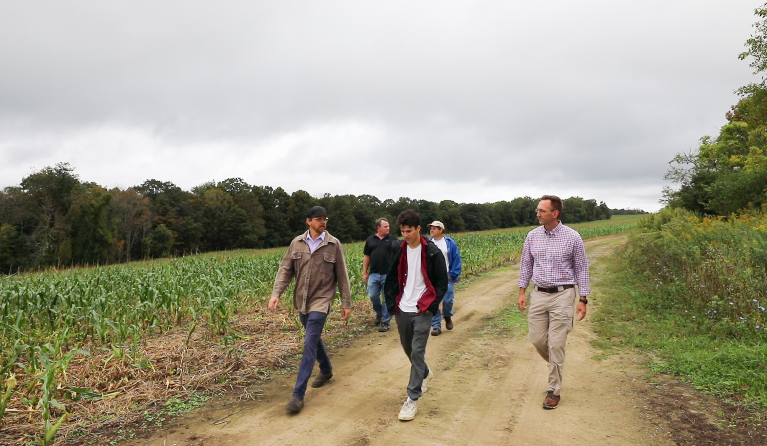 Members of the team who helped to conserve a parcel of land walk along a dirt road through a corn field located on that land. 