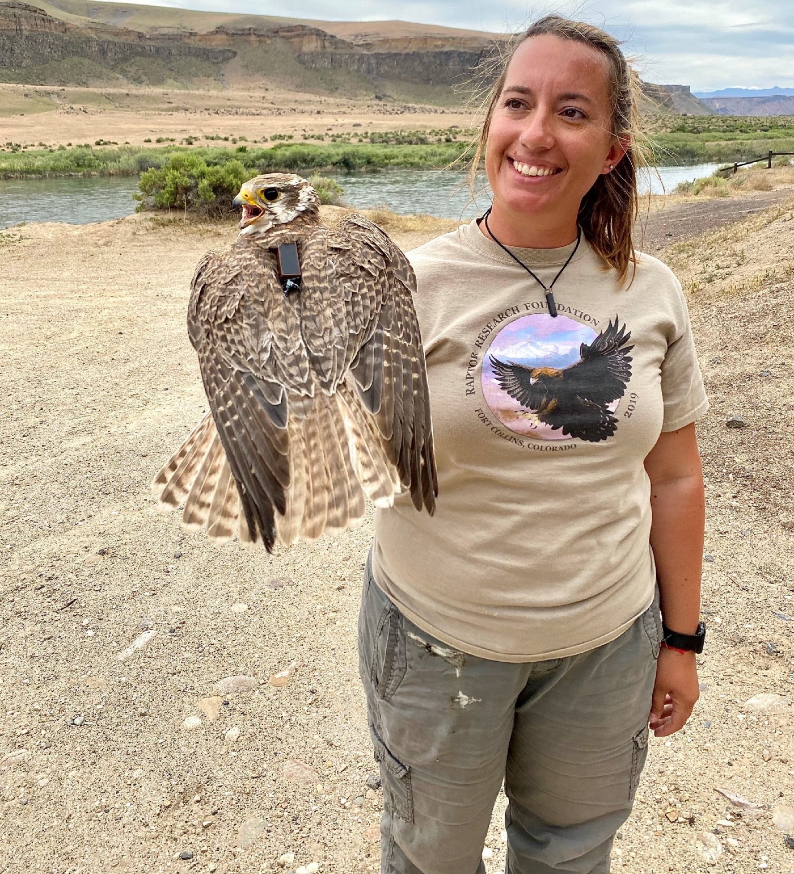 Eden Ravecca, a masters student at Boise State University, conducts research on prairie falcons in Idaho’s Snake River Canyon. Copyright photo by Eden Ravecca; used with permission.