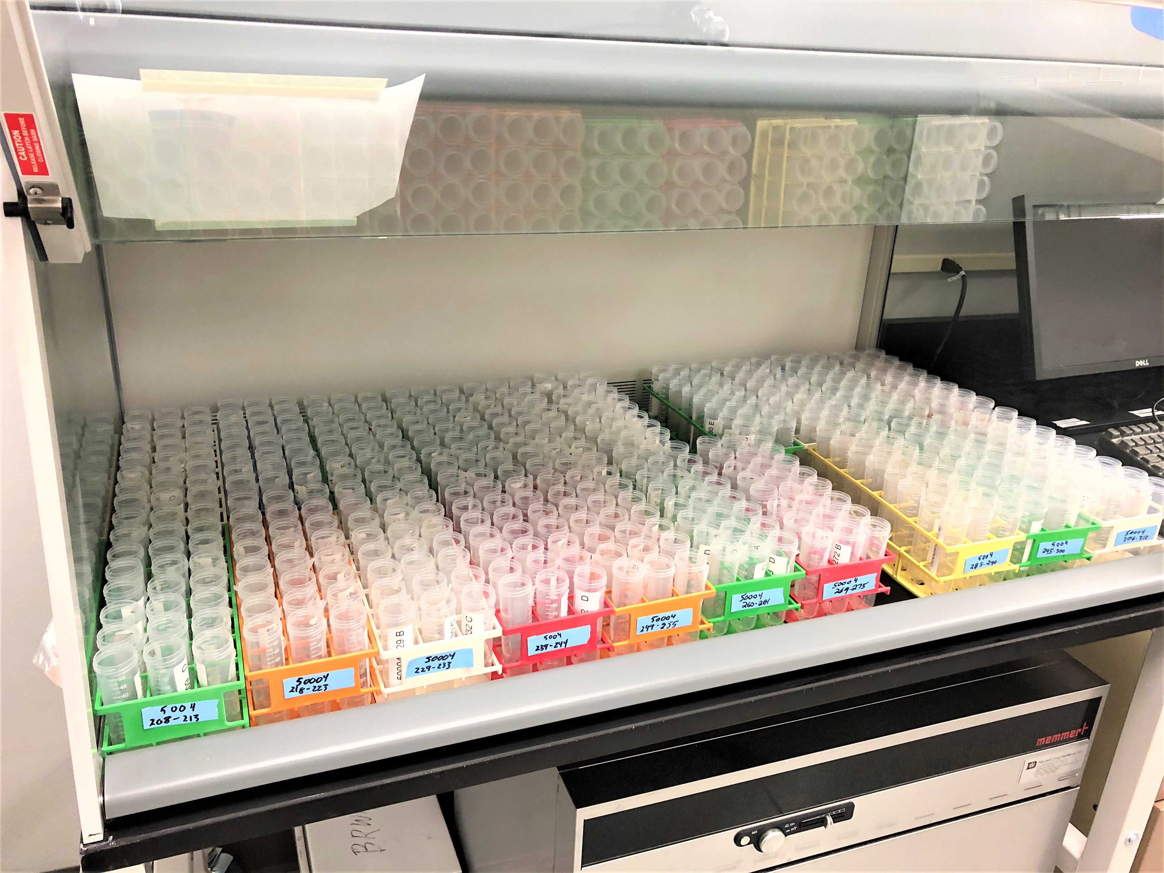 eDNA samples in drying hood at Whitney Genetics Lab | FWS.gov