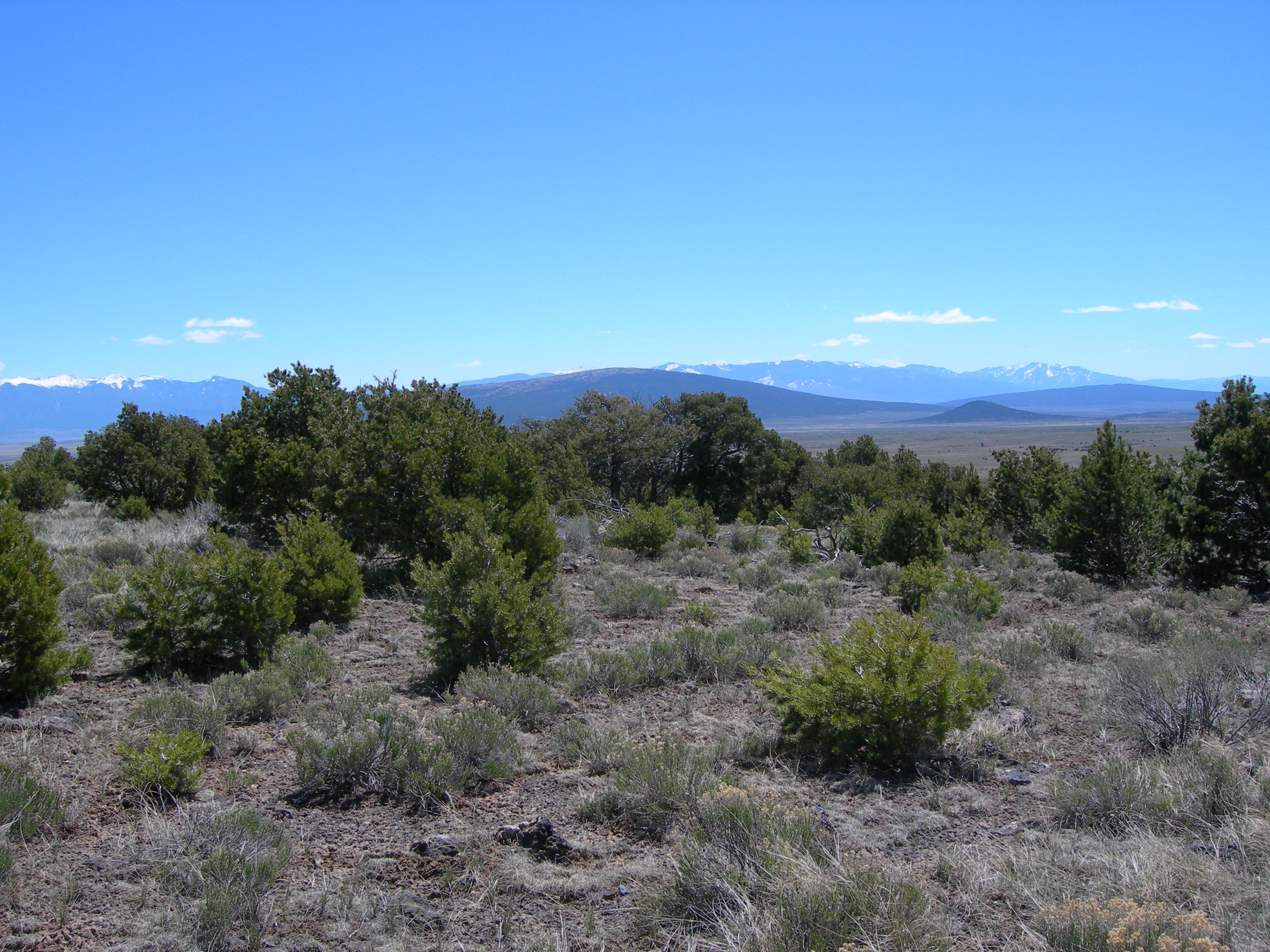 Landscape image of the southwest montane in new mexico