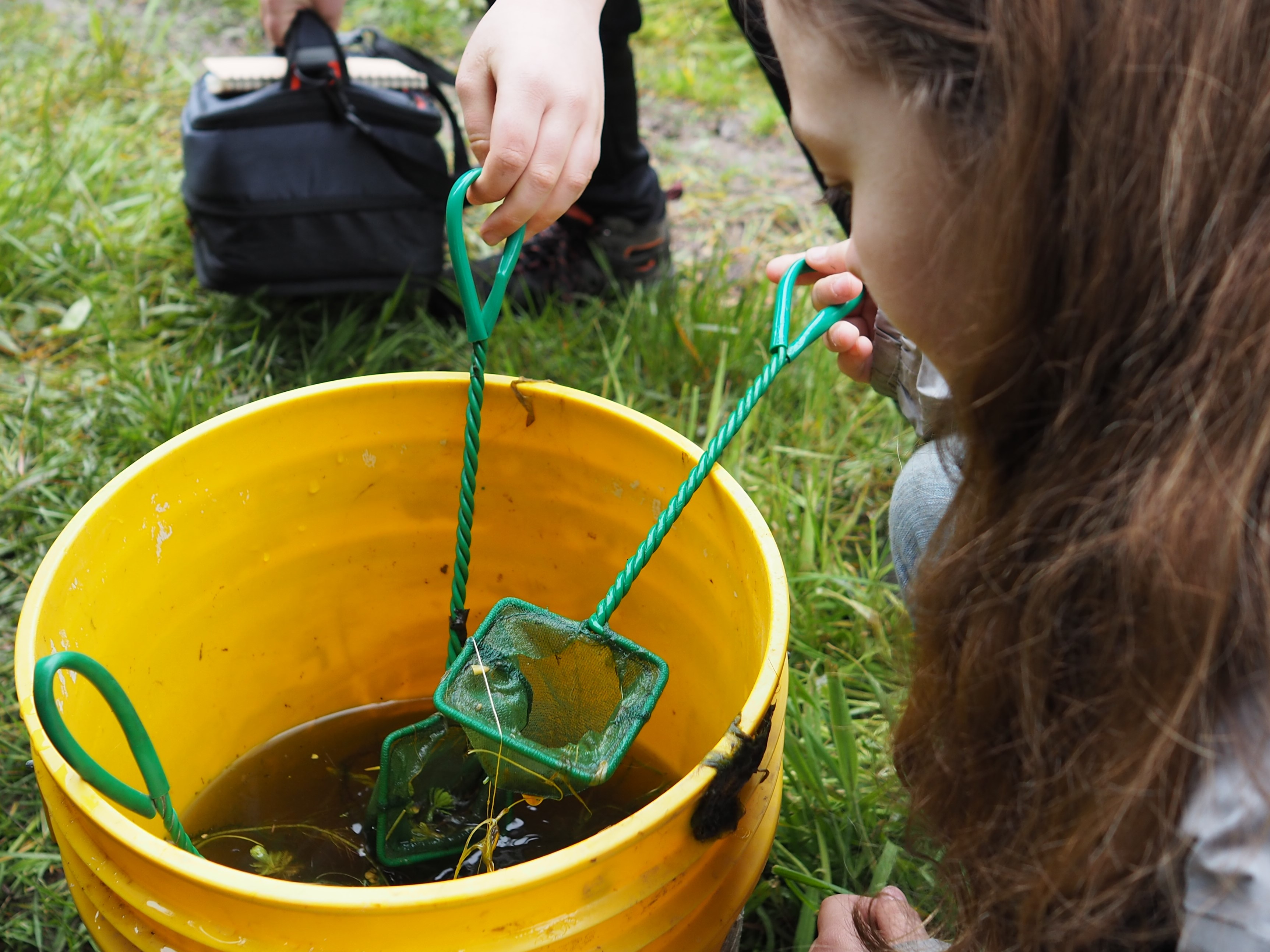 A young student holds a small net over a bucket, observing plants and wildlife.