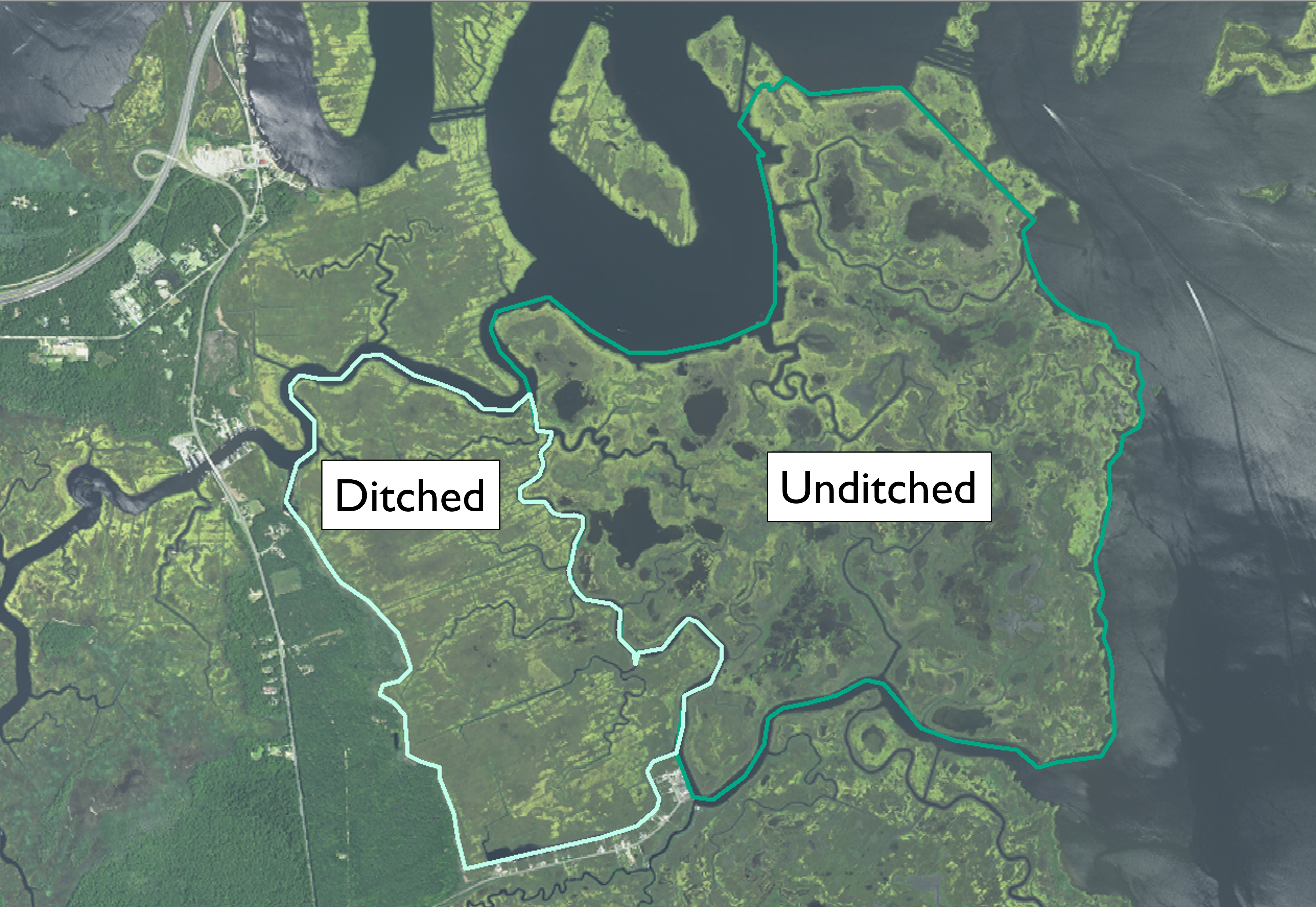 An aerial map shows a coastal marsh with unditched area demarcated in dark green adjacent to a ditched section demarcated in pale green. 