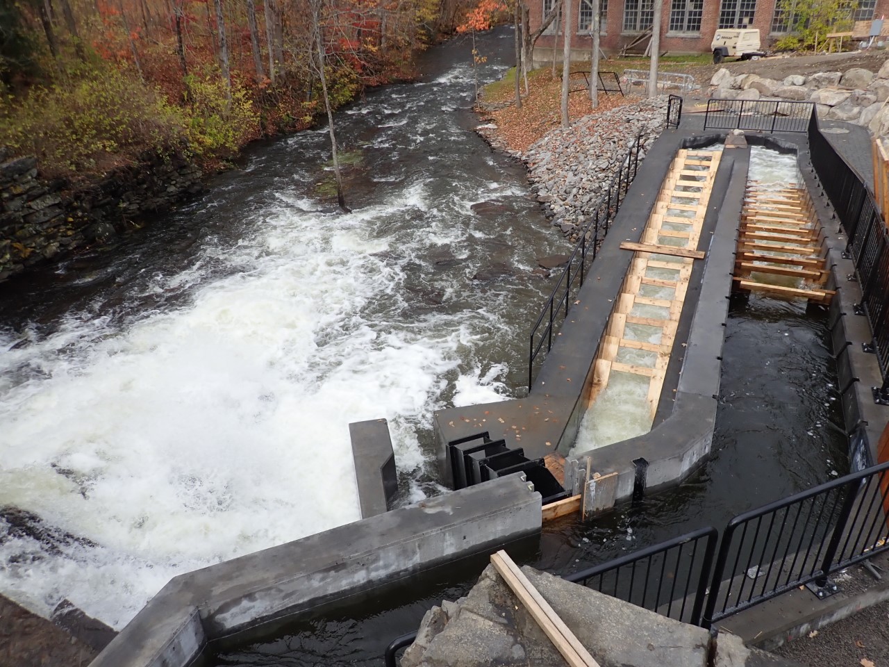 Box Mill Dam Denil fishway | FWS.gov