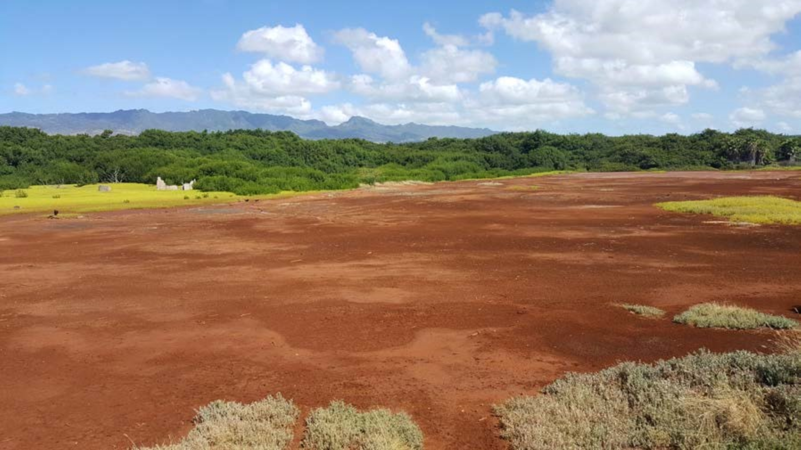 Red dirt sits in the foreground with lush green bushes in the back. 