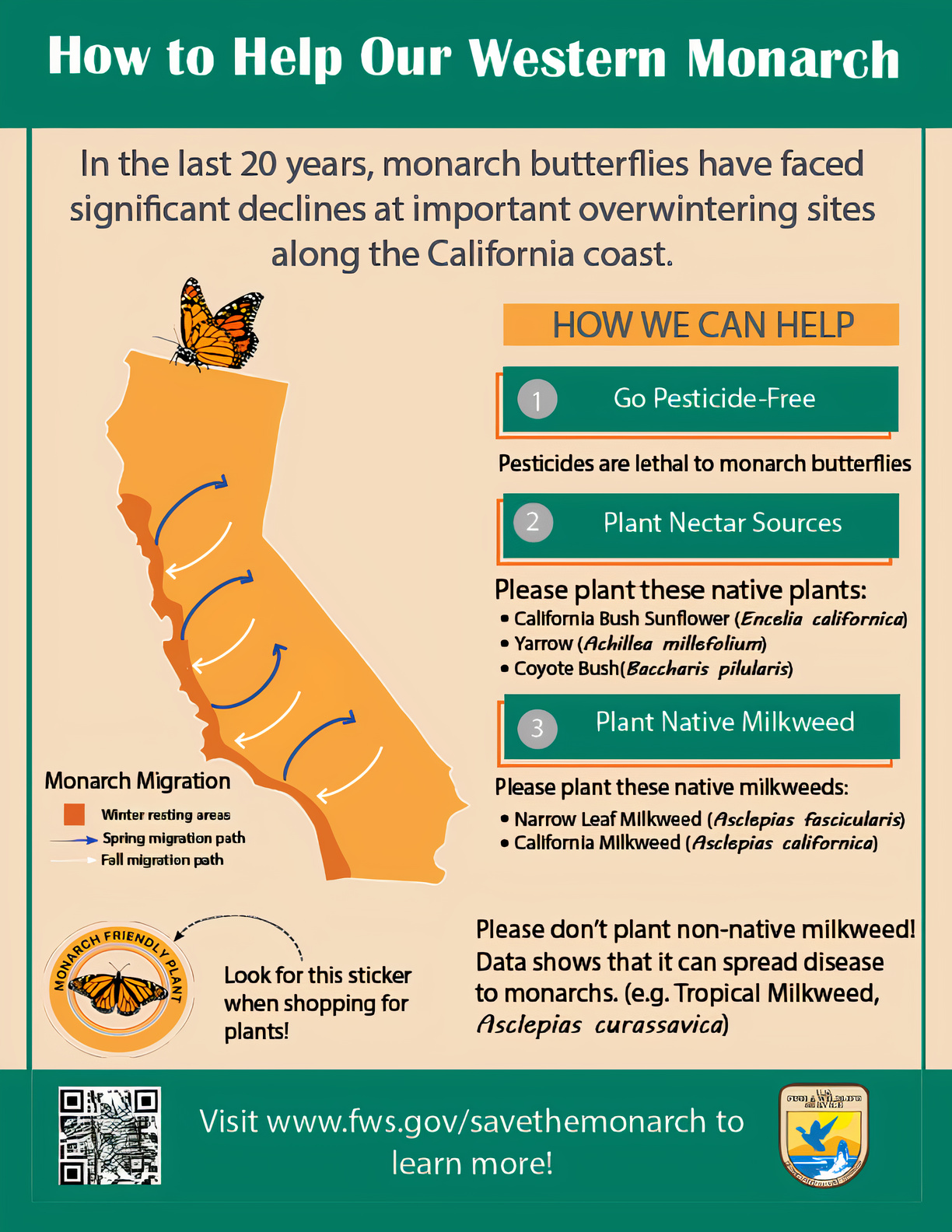 infographic of monarch migration in California and list of monarch-friendly plants