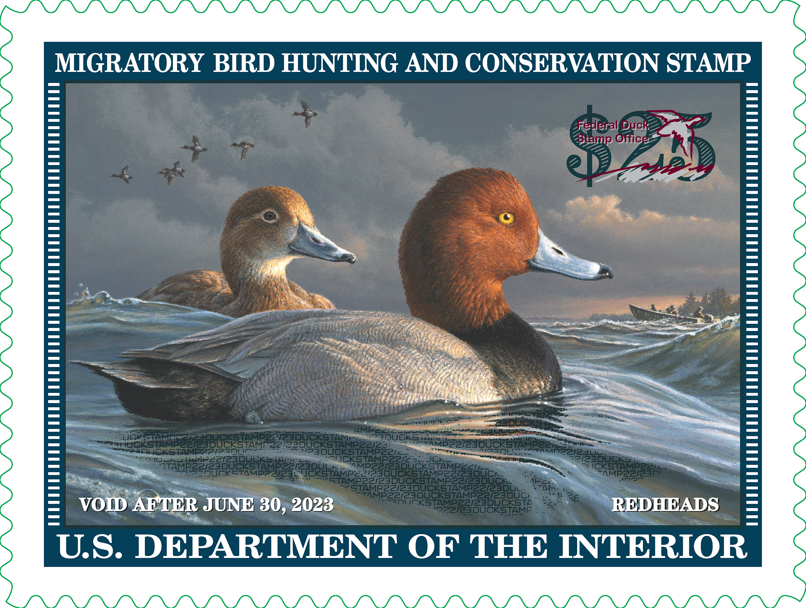 A pair of redheads floating 2022-2023 Duck Stamp by Jim Hautman