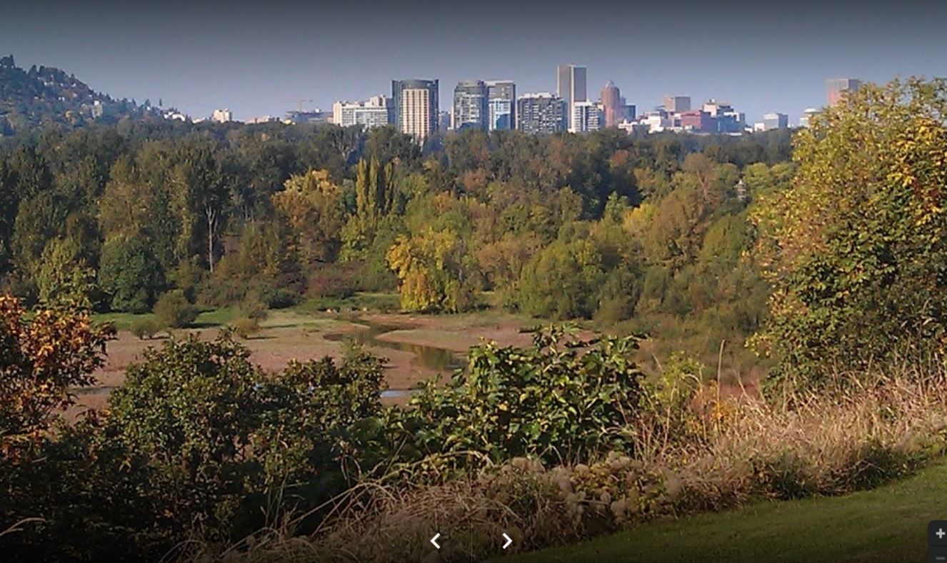 Wooded area with city of Portland in background