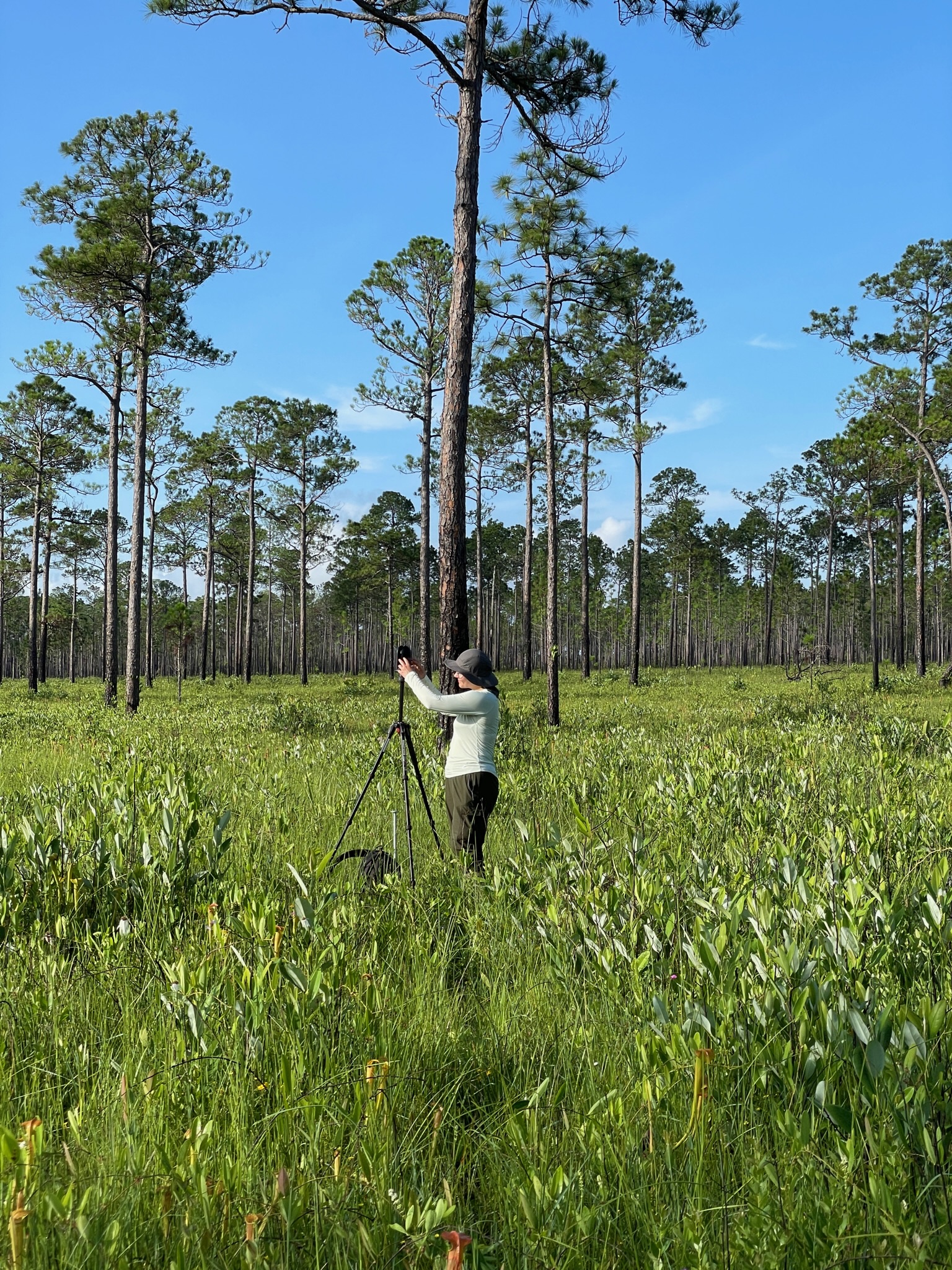 person in field works with object on tripod