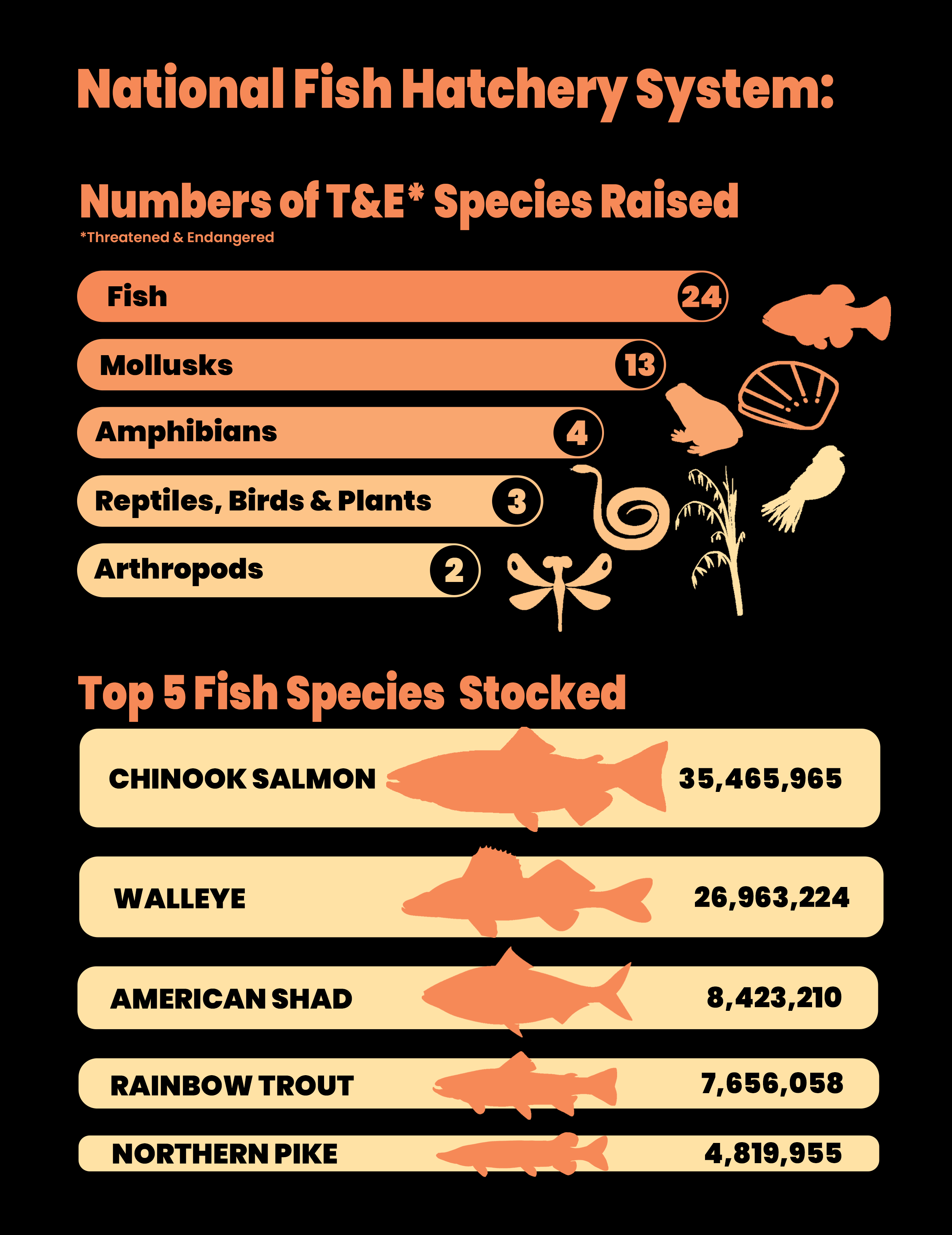 National Fish Hatchery System Number of T&E Species Raised and Top 5