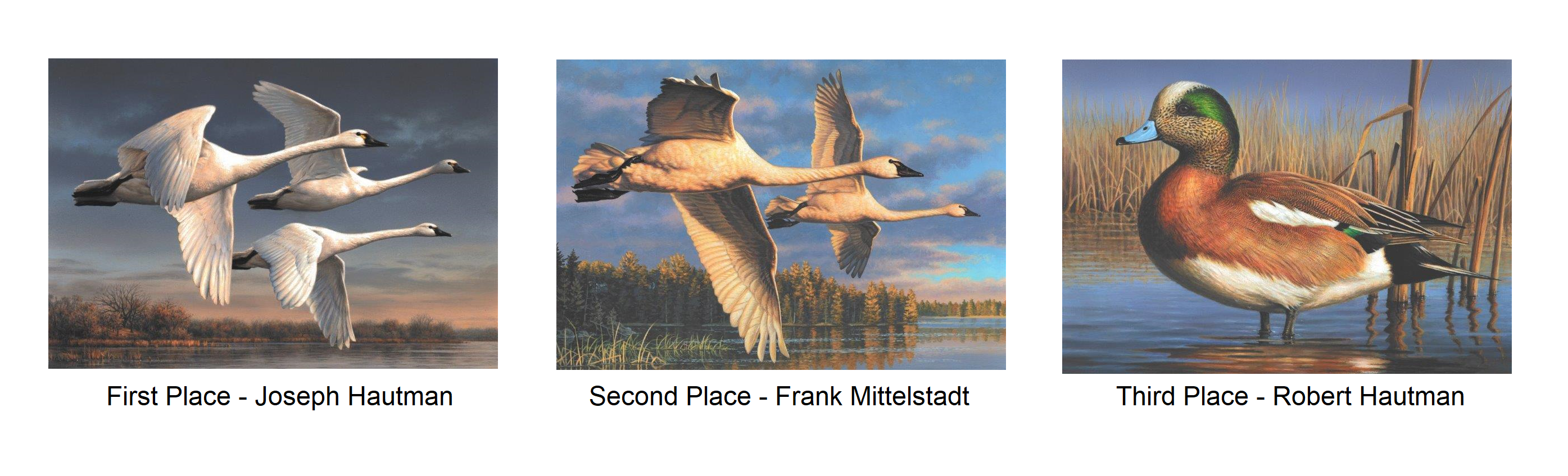 Top three pieces of Artwork for 2022 Federal Duck Stamp Contest