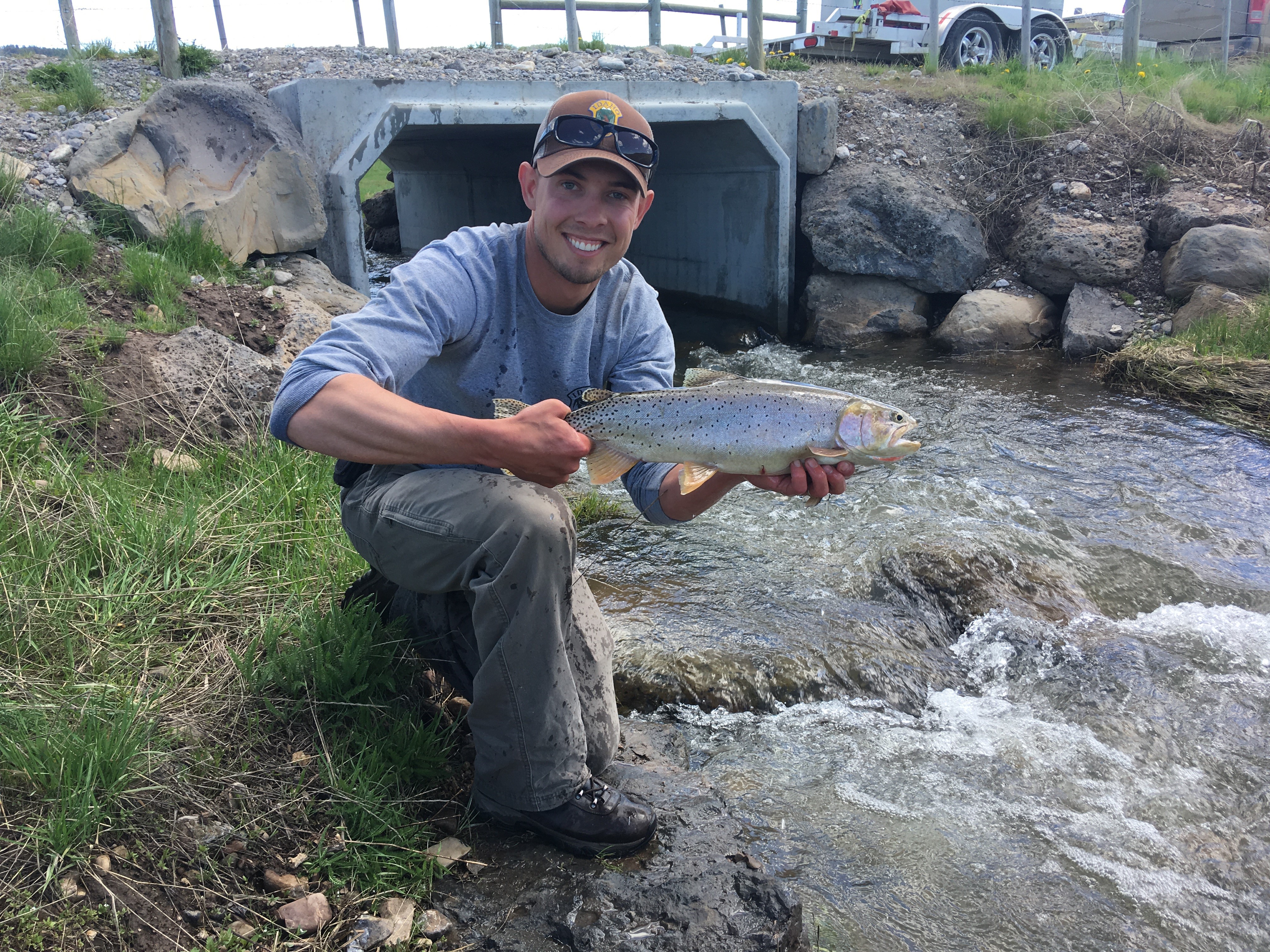 Yellowstone cutthroat trout near the Blackfoot River in Idaho