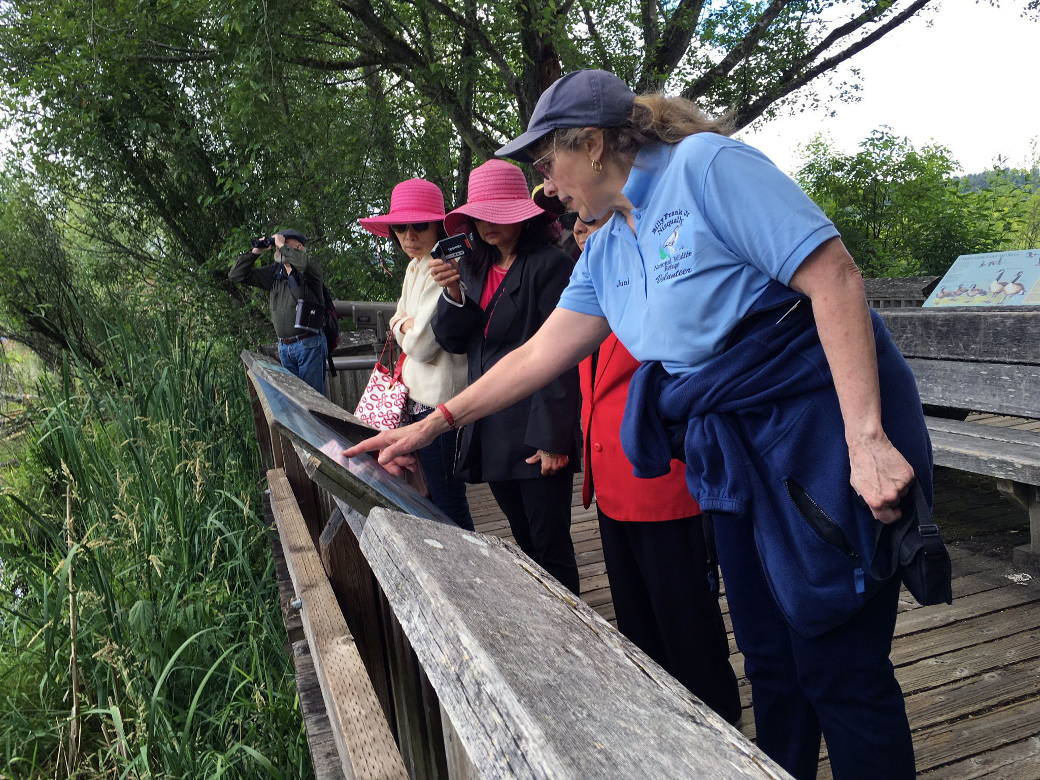 A woman in volunteer clothing points to a sign while 3 women in sunhats look, all standing on boardwalk, with a person viewing something through binoculars behind them.