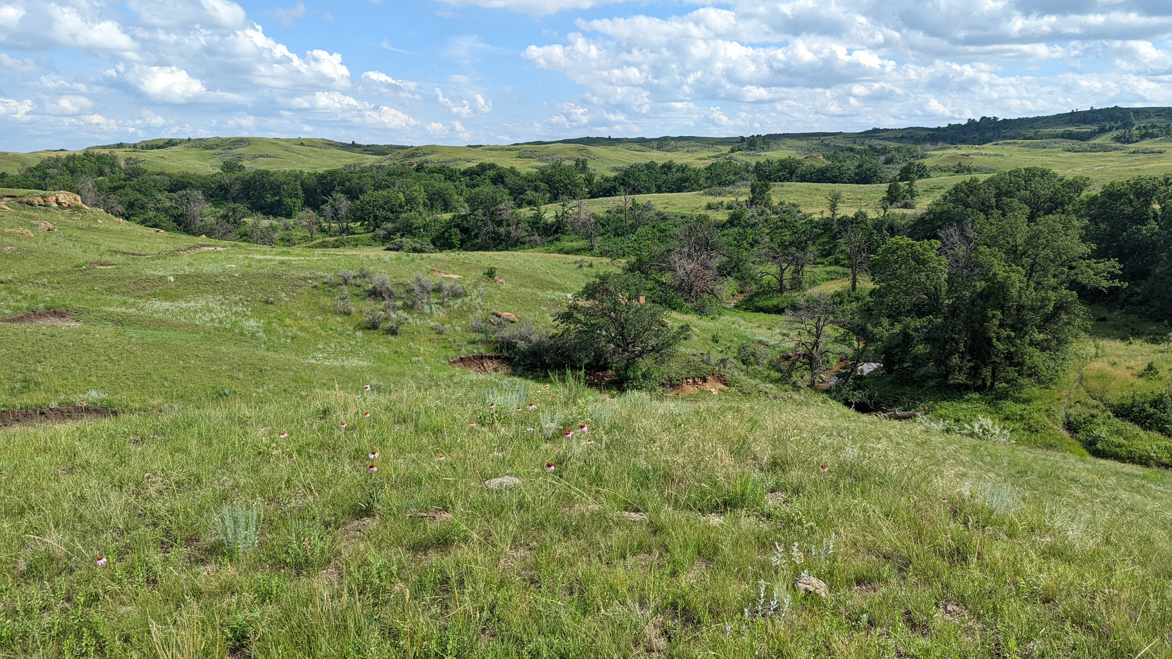 CrossRanchND | FWS.gov
